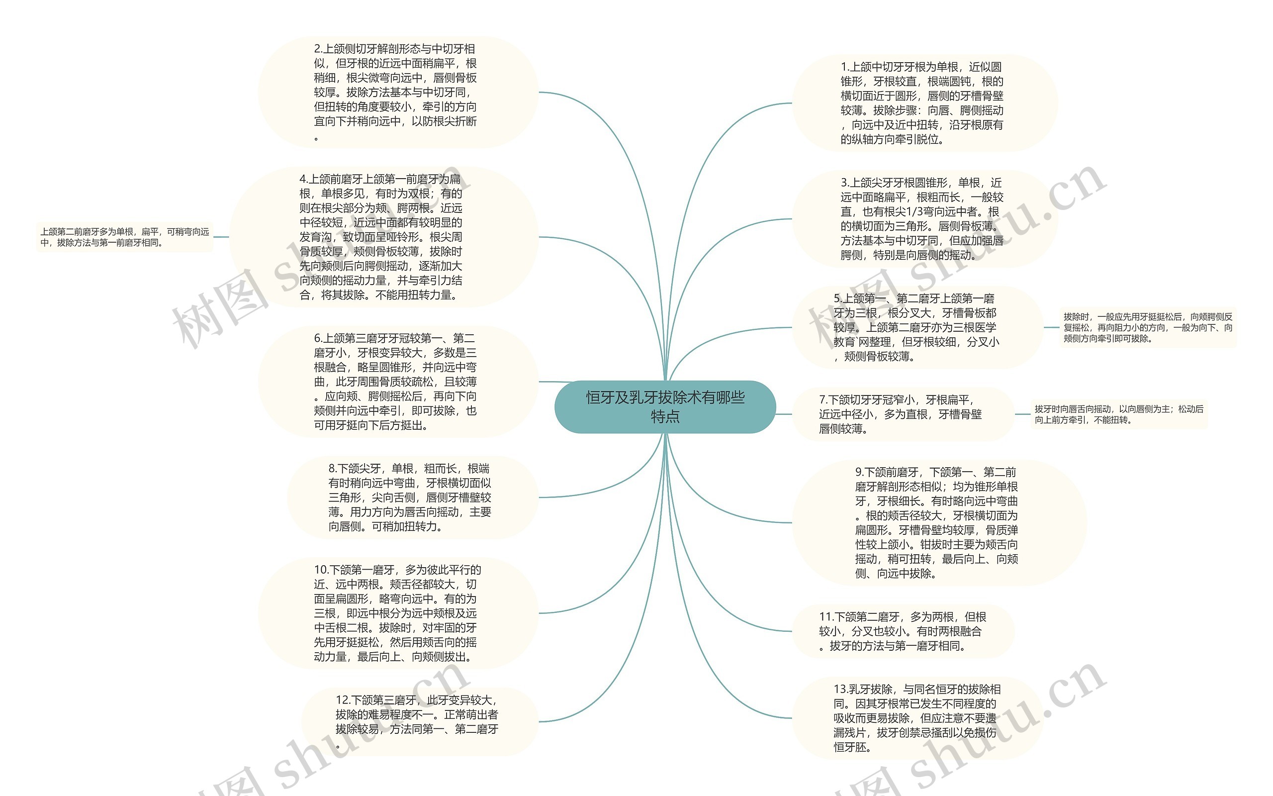 恒牙及乳牙拔除术有哪些特点思维导图