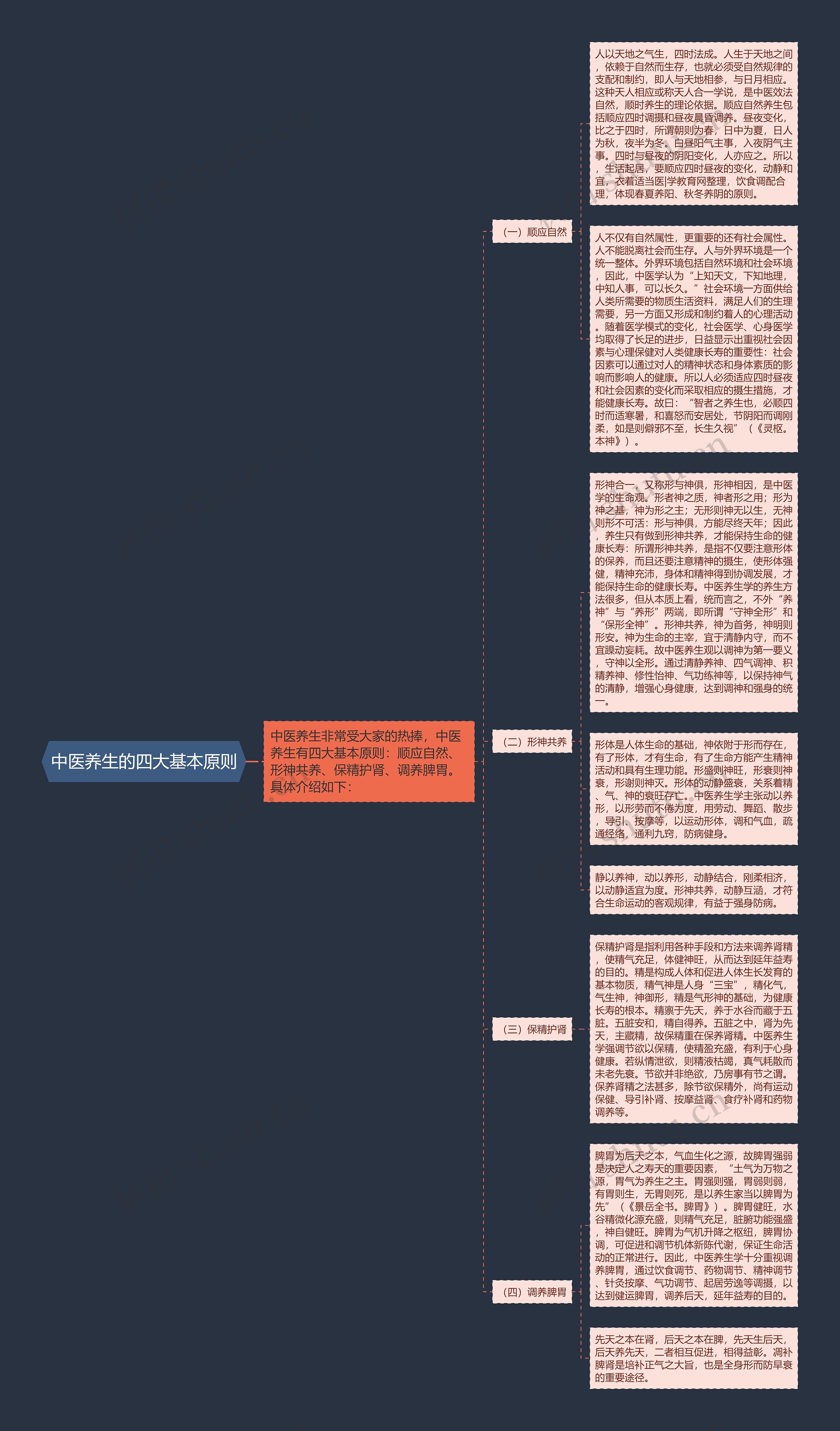 中医养生的四大基本原则思维导图
