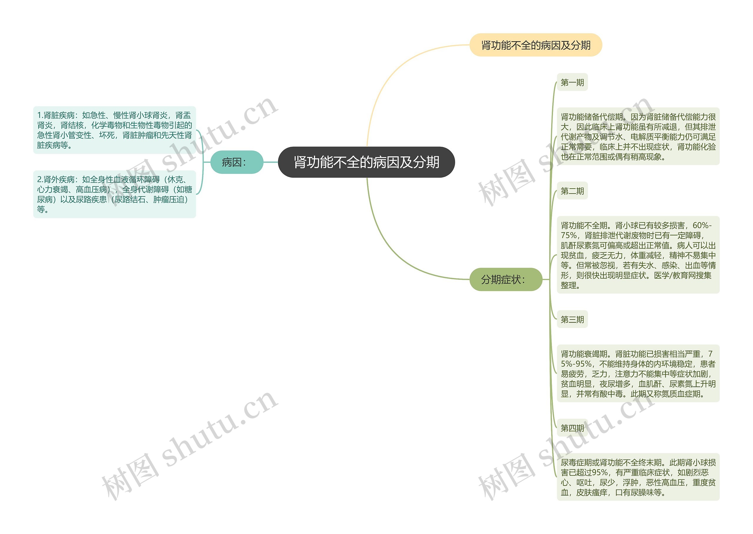 肾功能不全的病因及分期