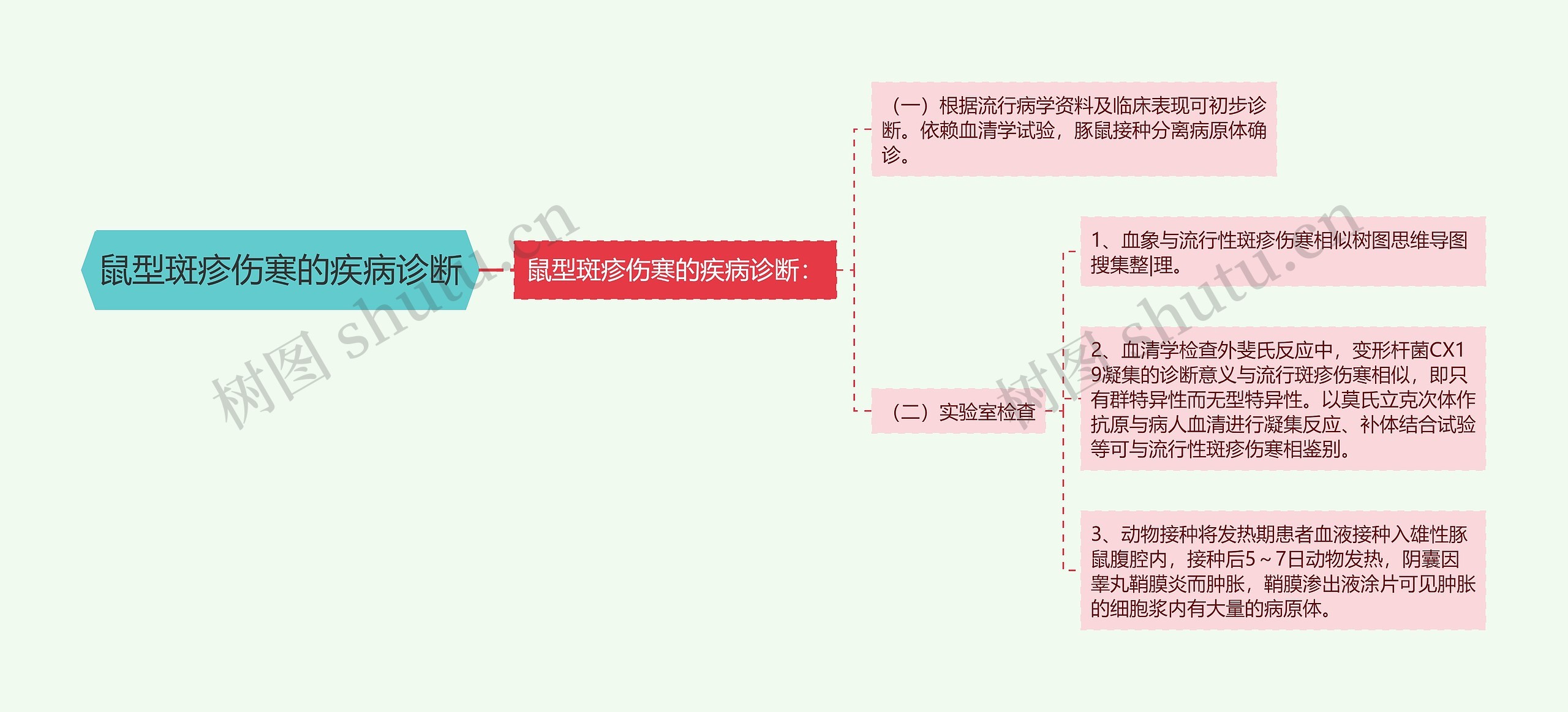 鼠型斑疹伤寒的疾病诊断