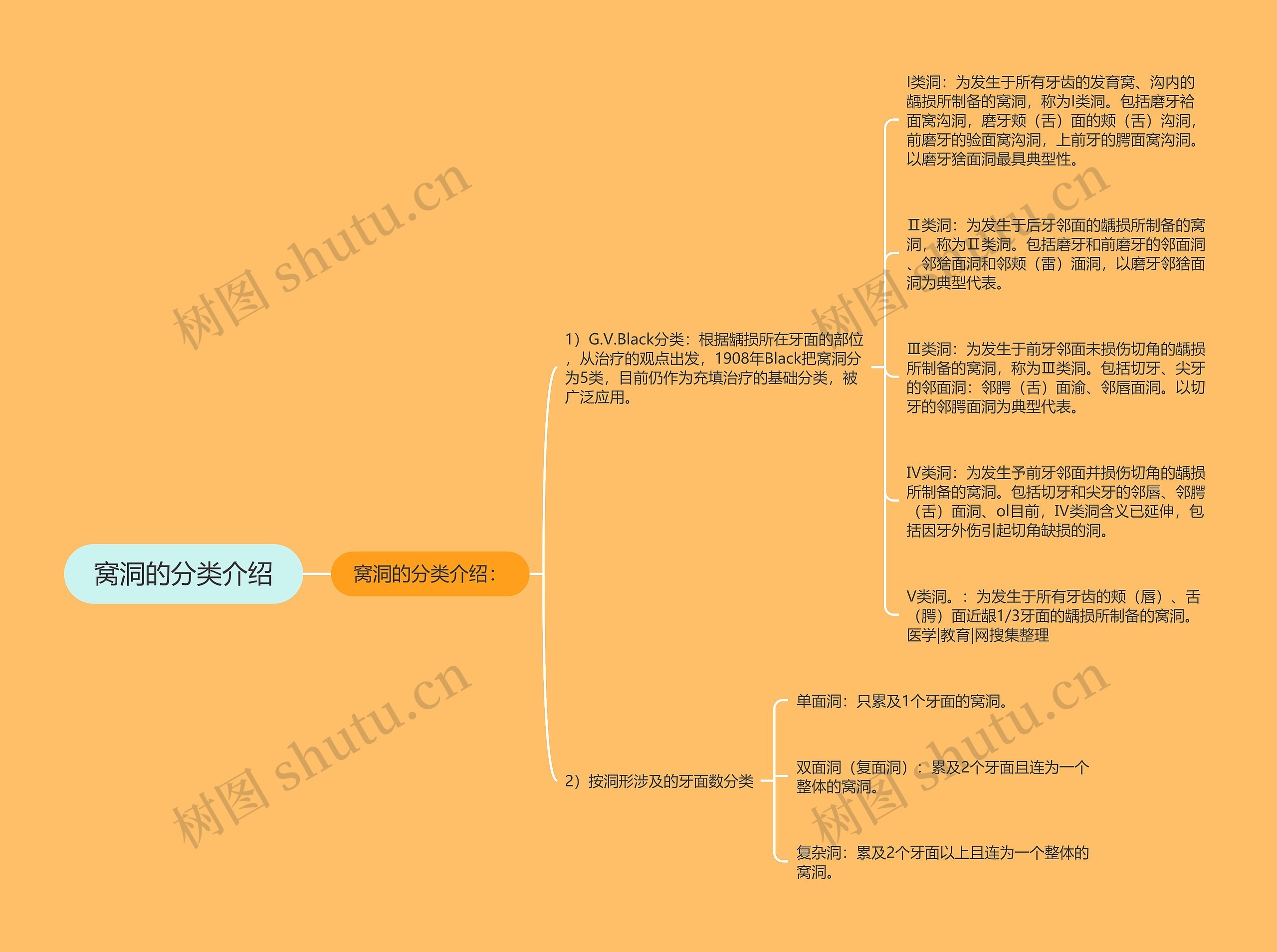 窝洞的分类介绍 窝洞的分类介绍