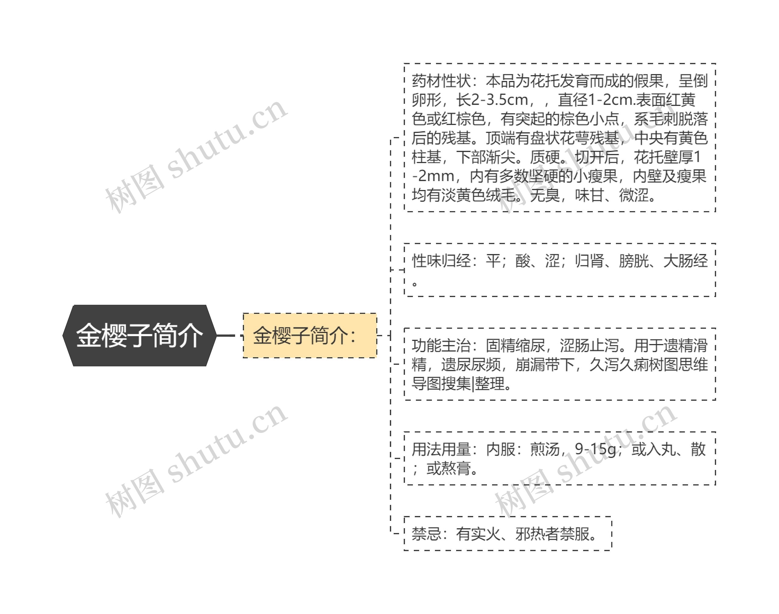 金樱子简介思维导图