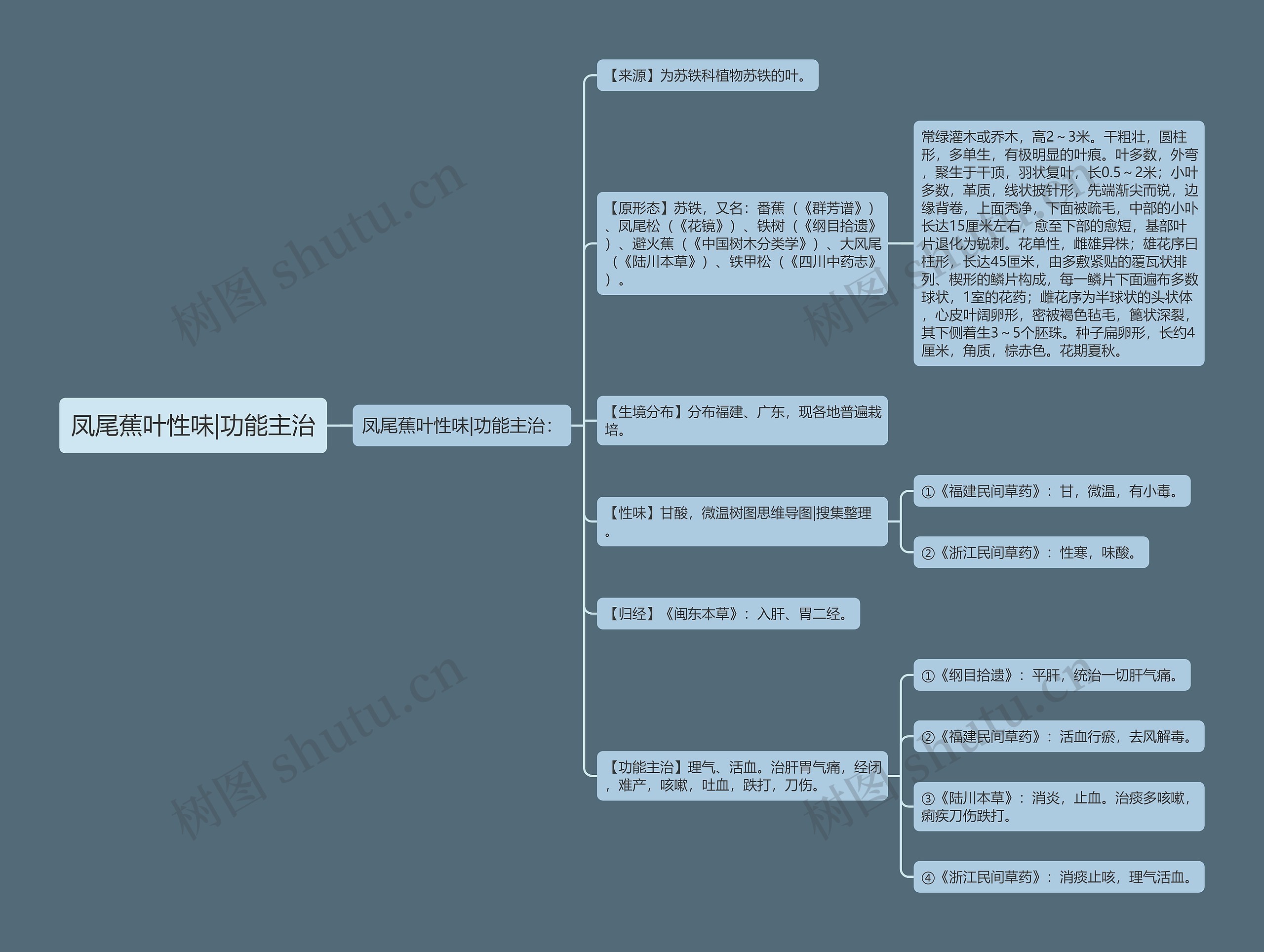 凤尾蕉叶性味|功能主治思维导图