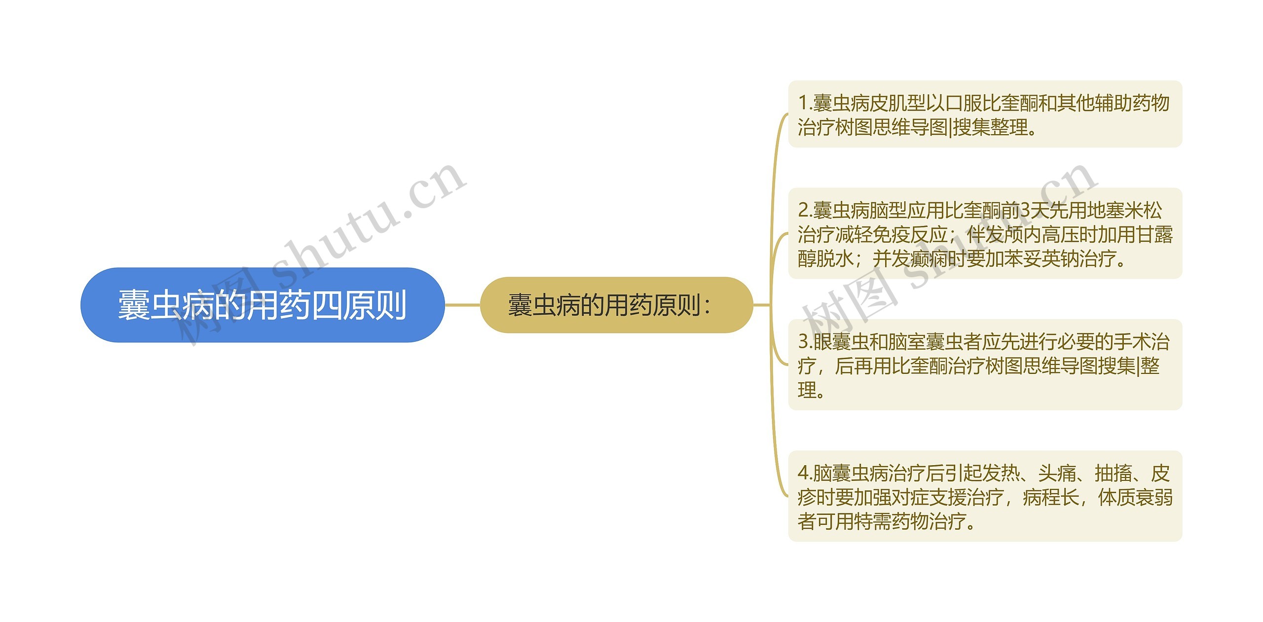 囊虫病的用药四原则 囊虫病的用药四原则