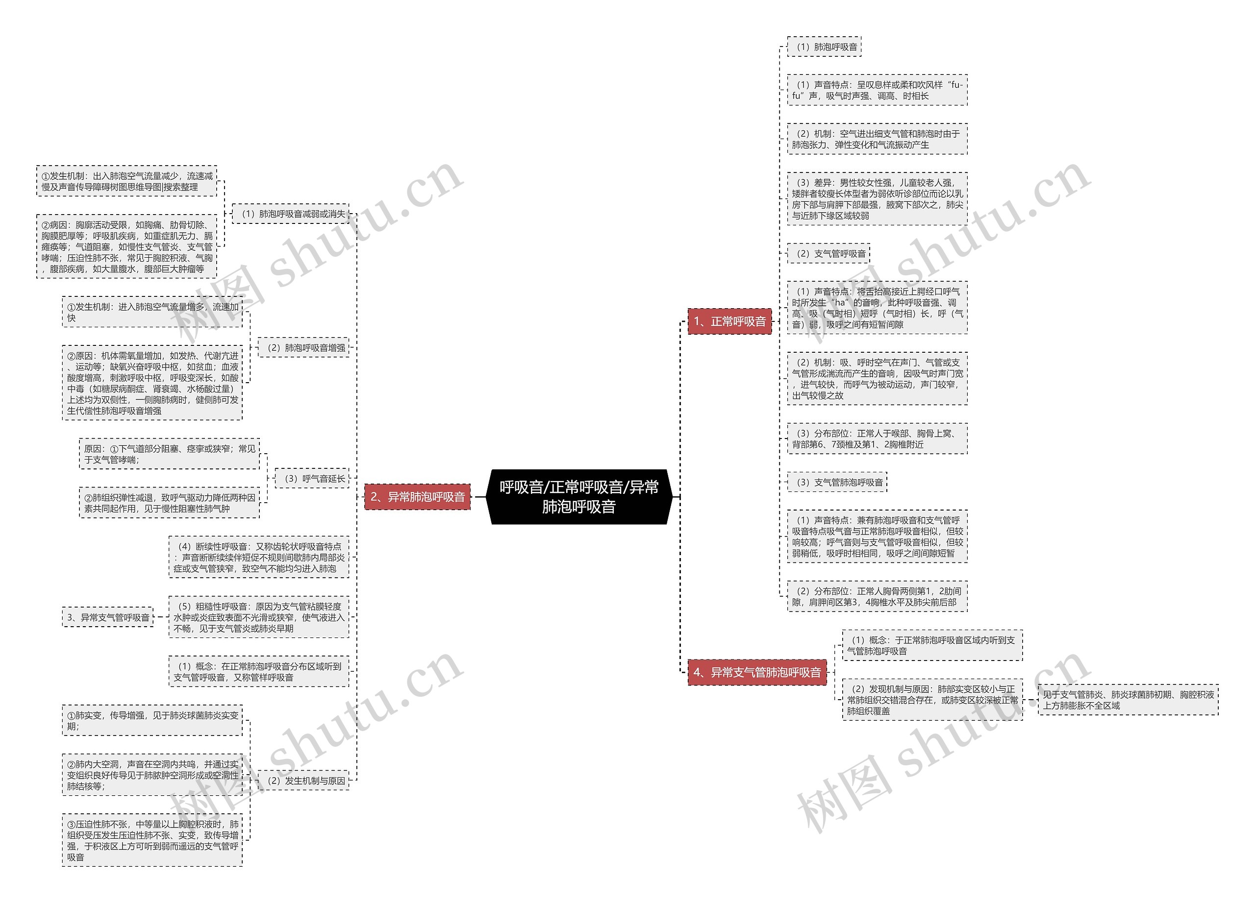 呼吸音/正常呼吸音/异常肺泡呼吸音 呼吸音/正常呼吸音/异常肺泡呼吸音
