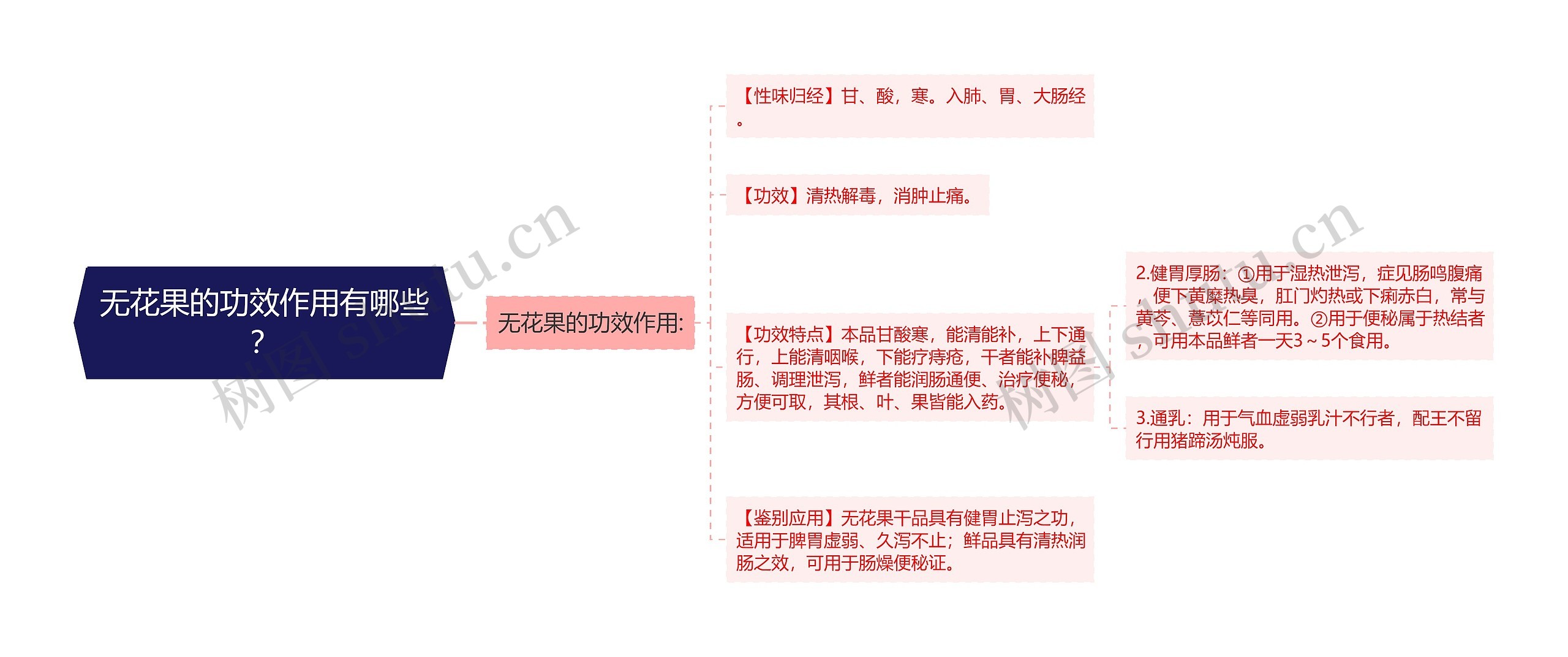 无花果的功效作用有哪些？思维导图