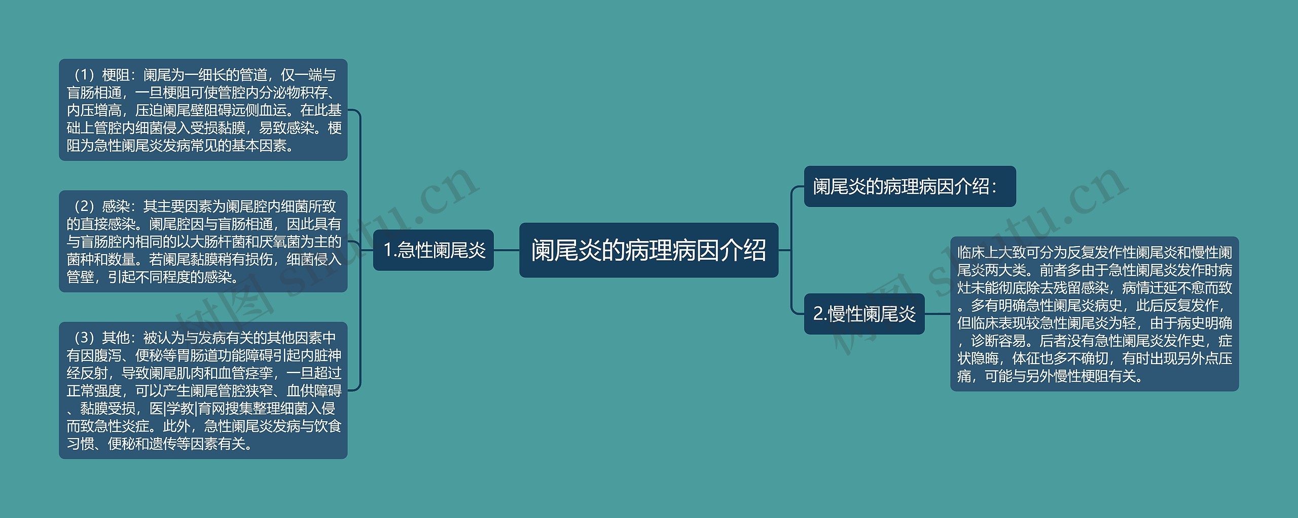 阑尾炎的病理病因介绍思维导图