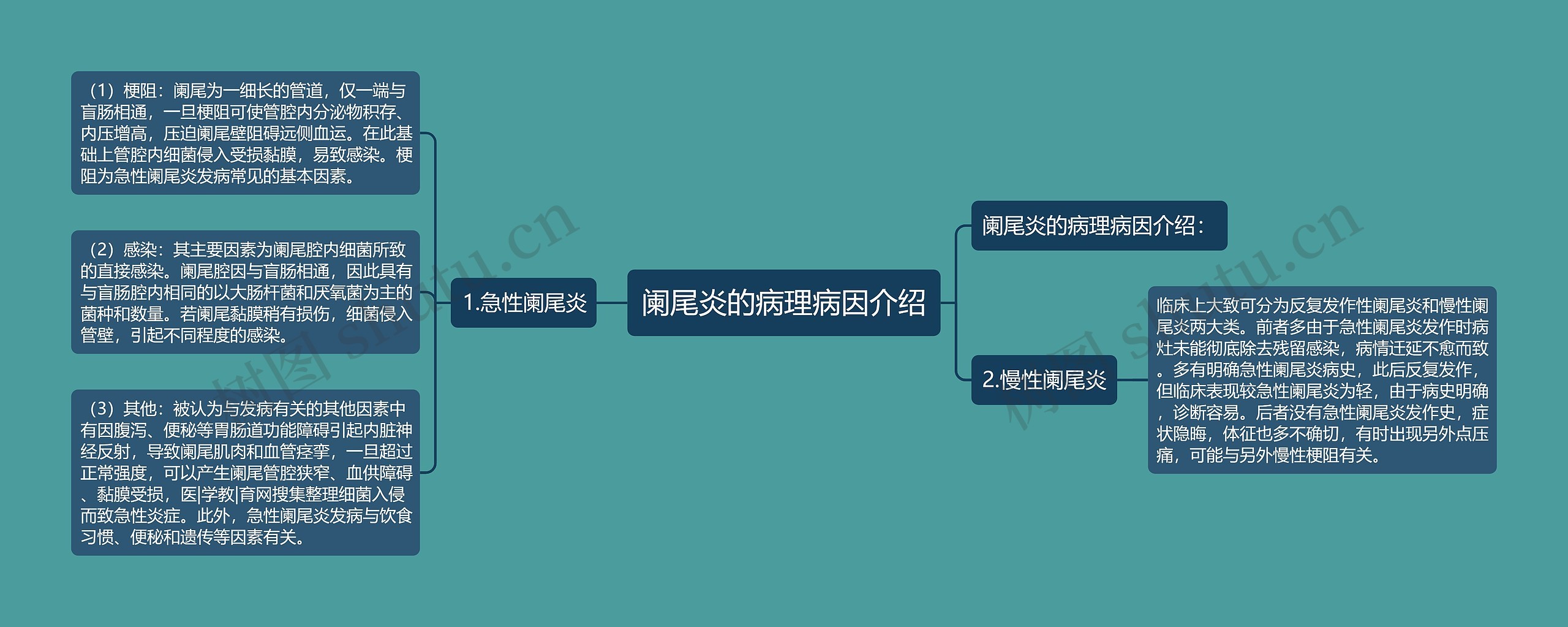 阑尾炎的病理病因介绍 阑尾炎的病理病因介绍