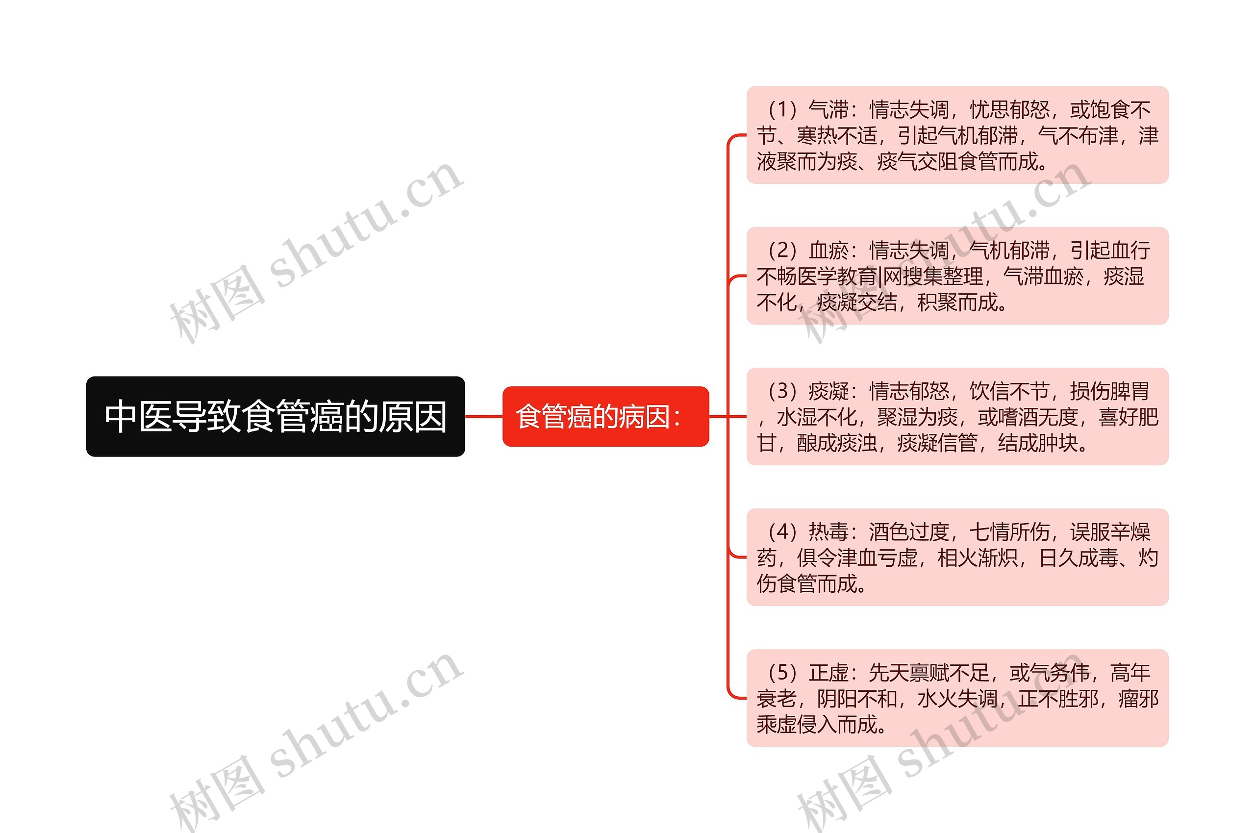 中医导致食管癌的原因思维导图