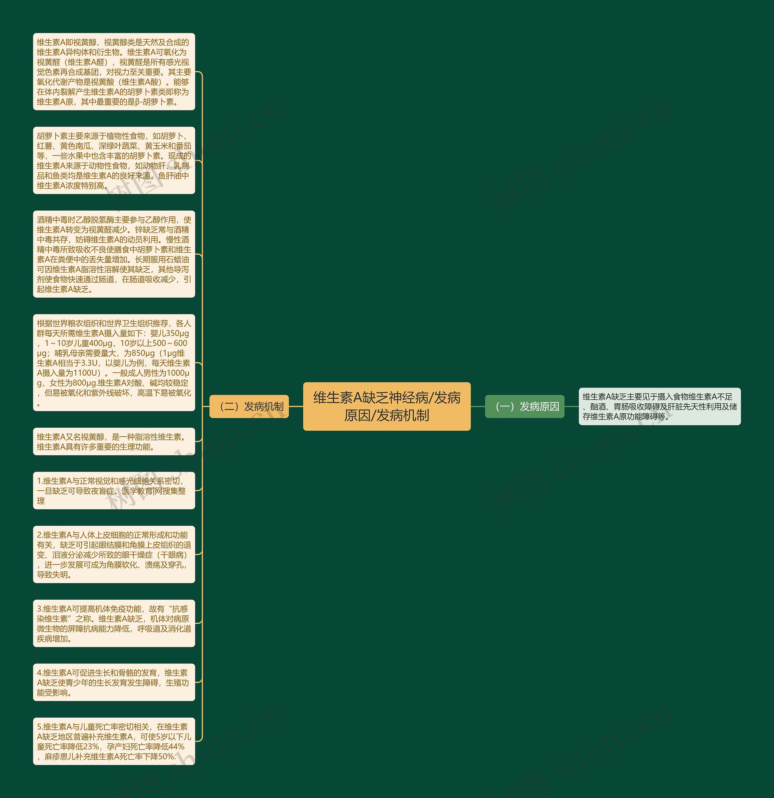维生素A缺乏神经病/发病原因/发病机制思维导图