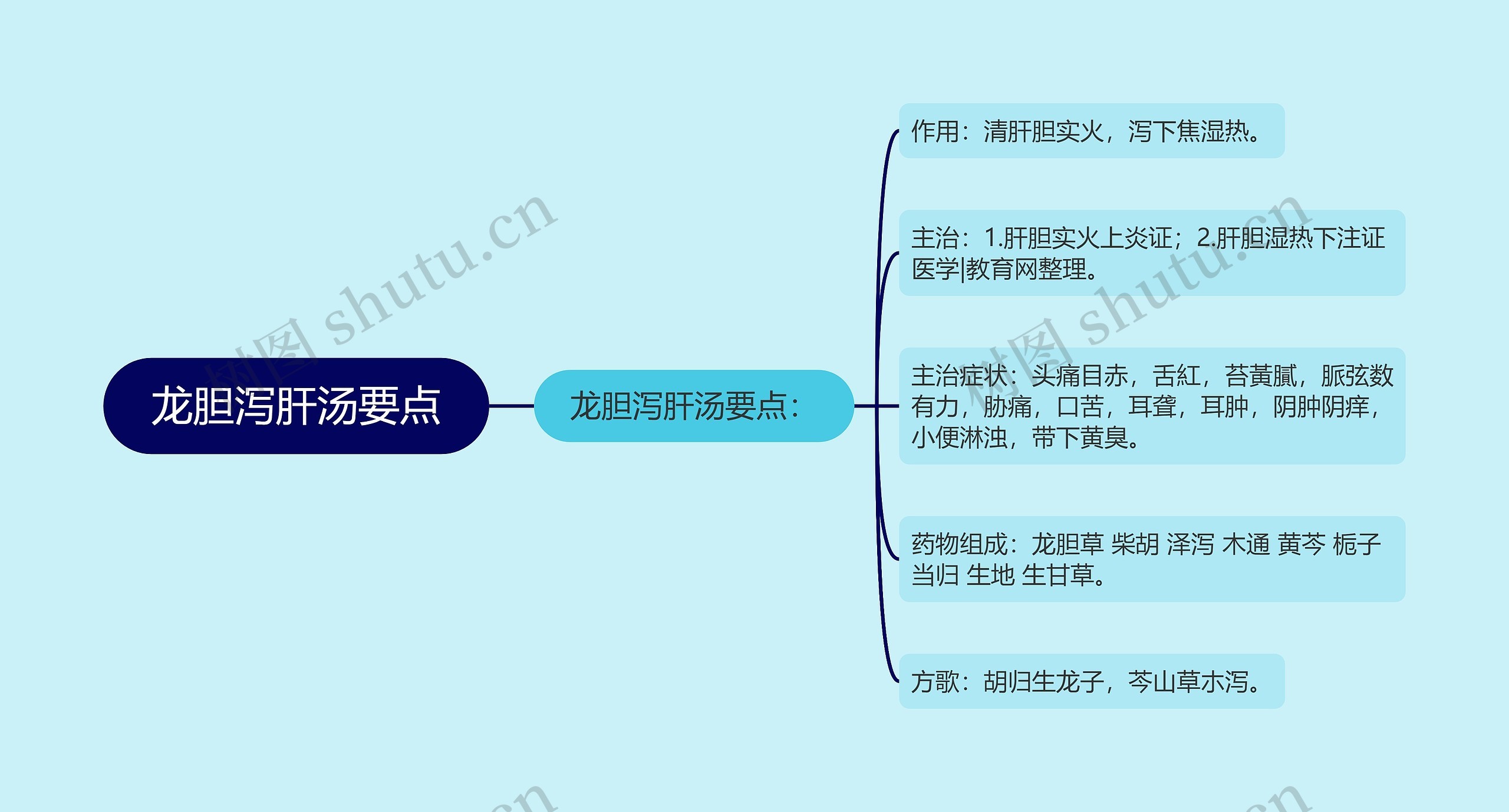 龙胆泻肝汤要点