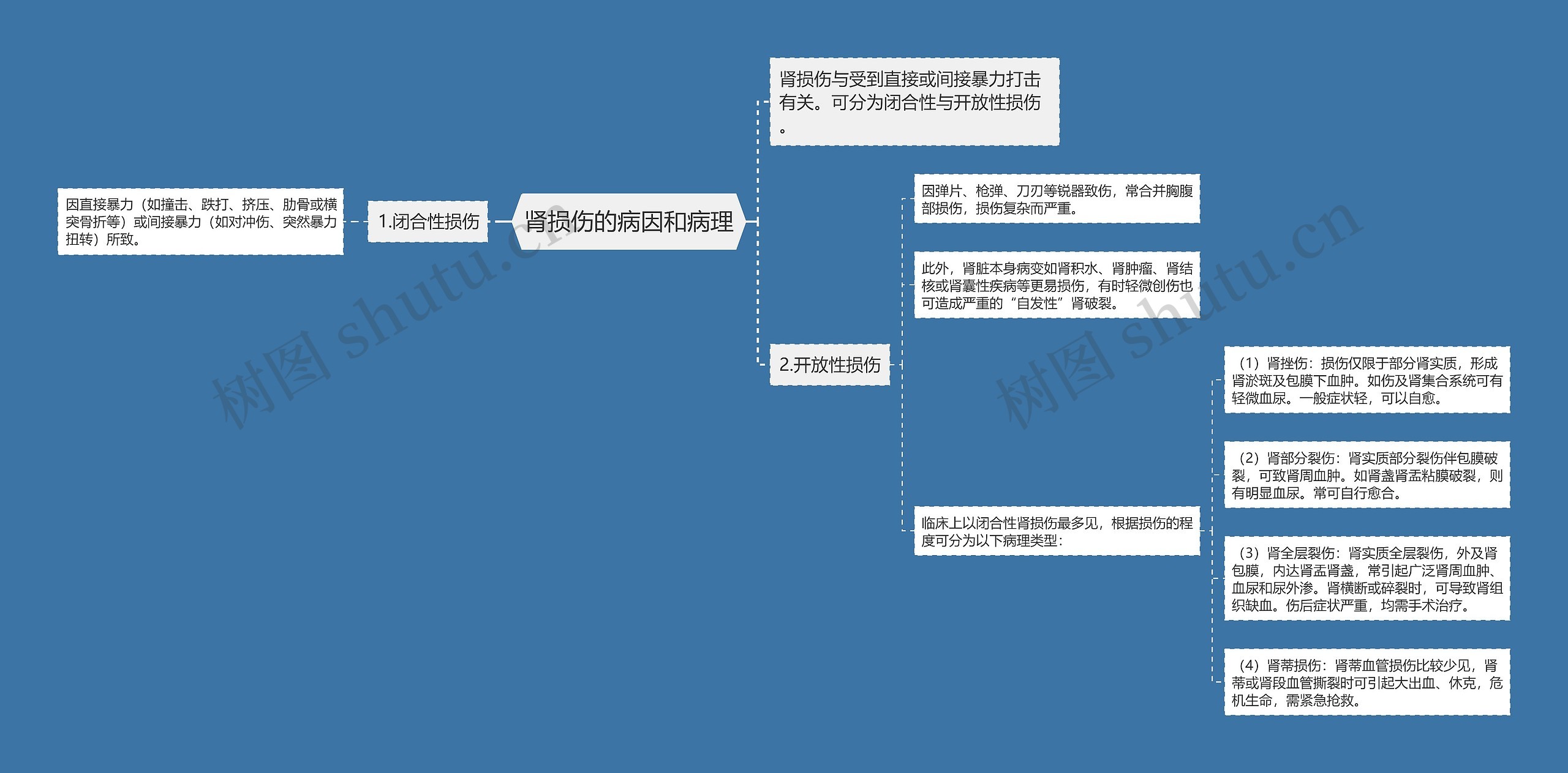 肾损伤的病因和病理 肾损伤的病因和病理