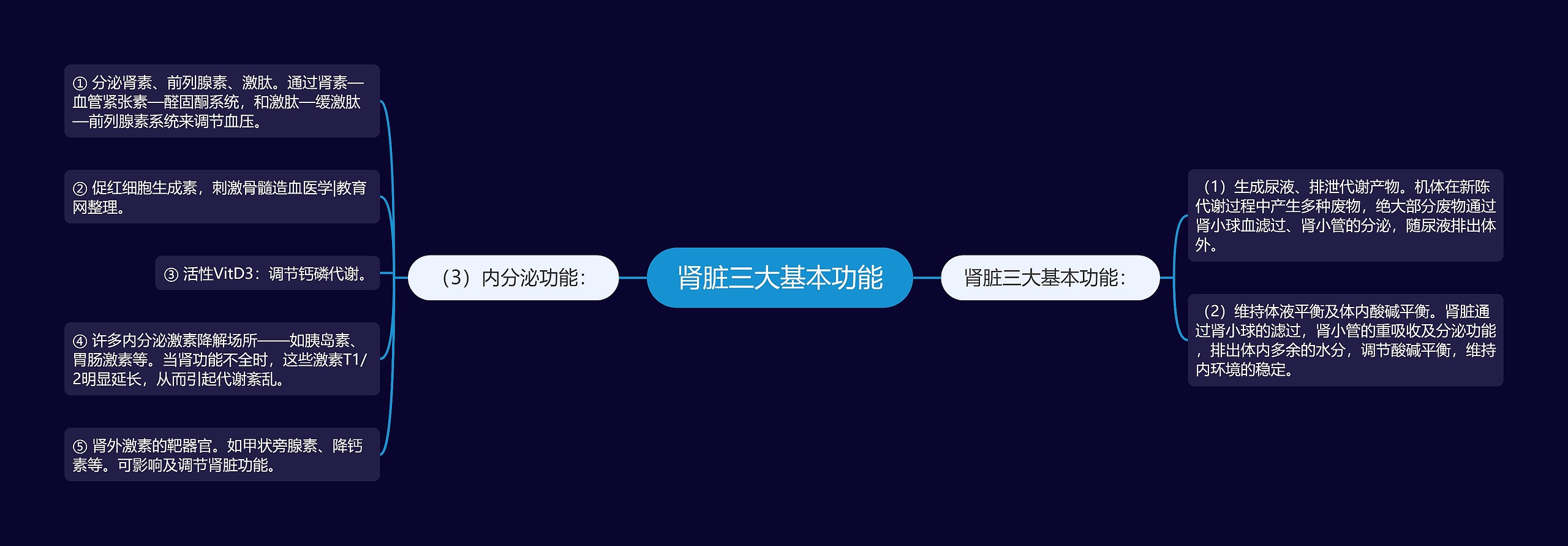 肾脏三大基本功能 肾脏三大基本功能