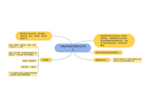 伤寒|玫瑰疹|稽留热|肝脾大