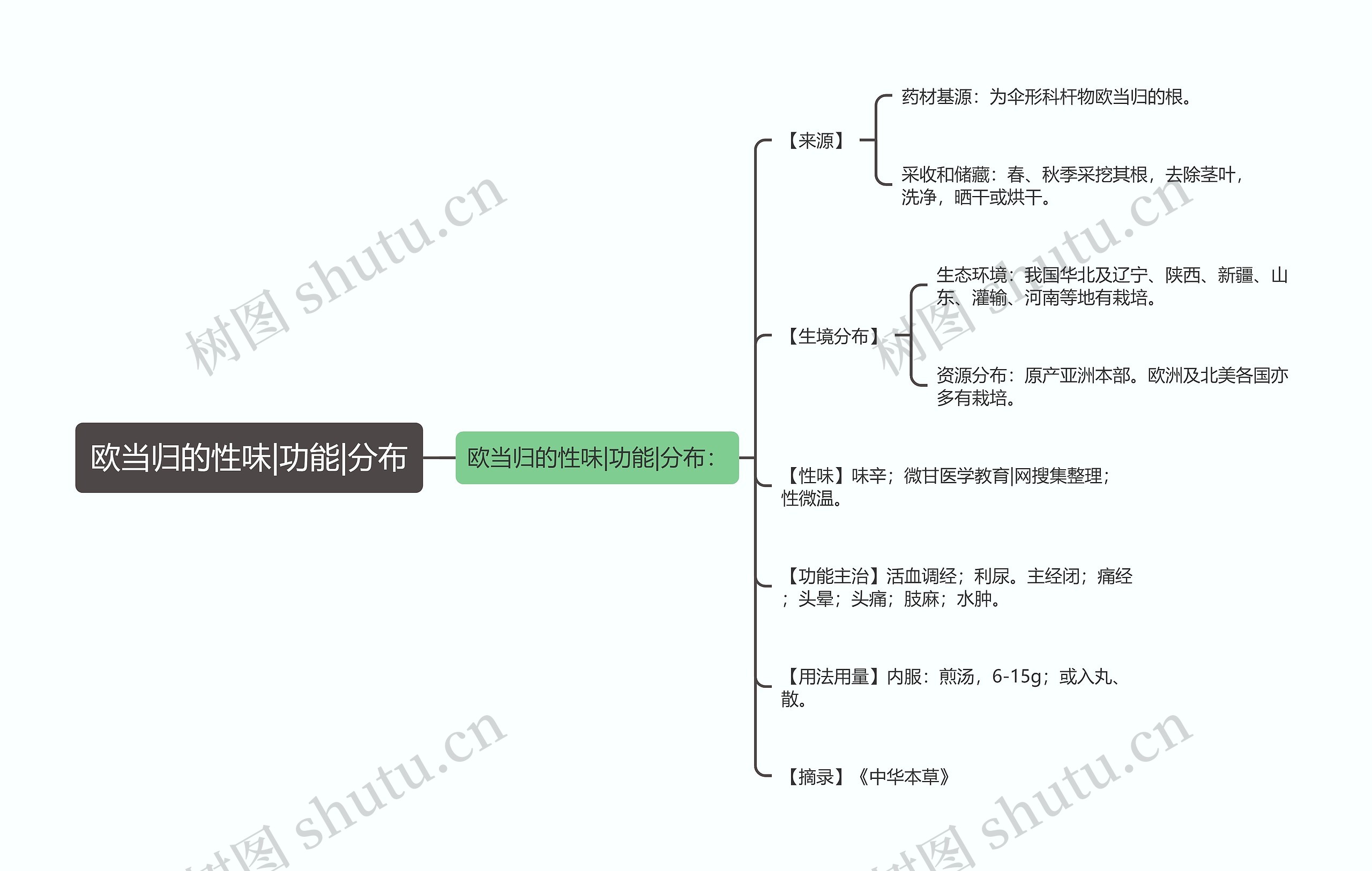 欧当归的性味|功能|分布