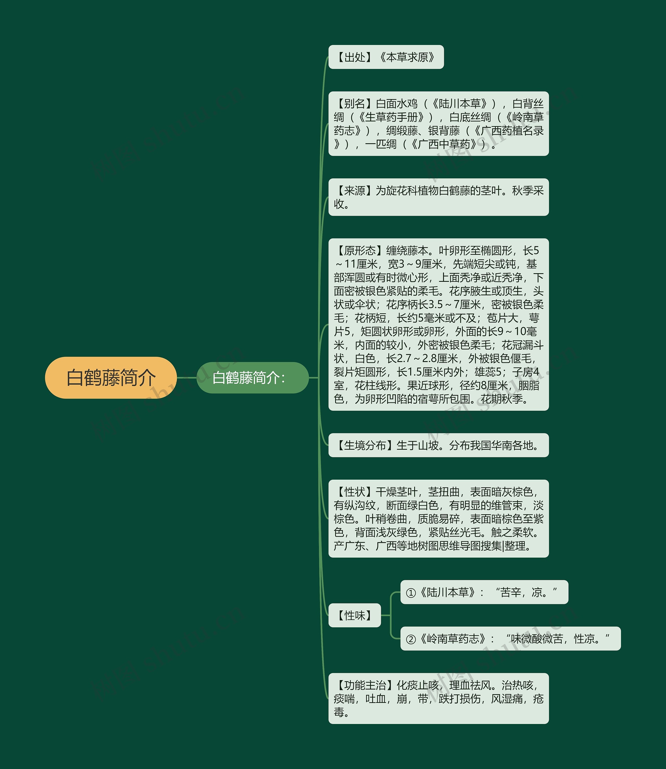 白鹤藤简介思维导图