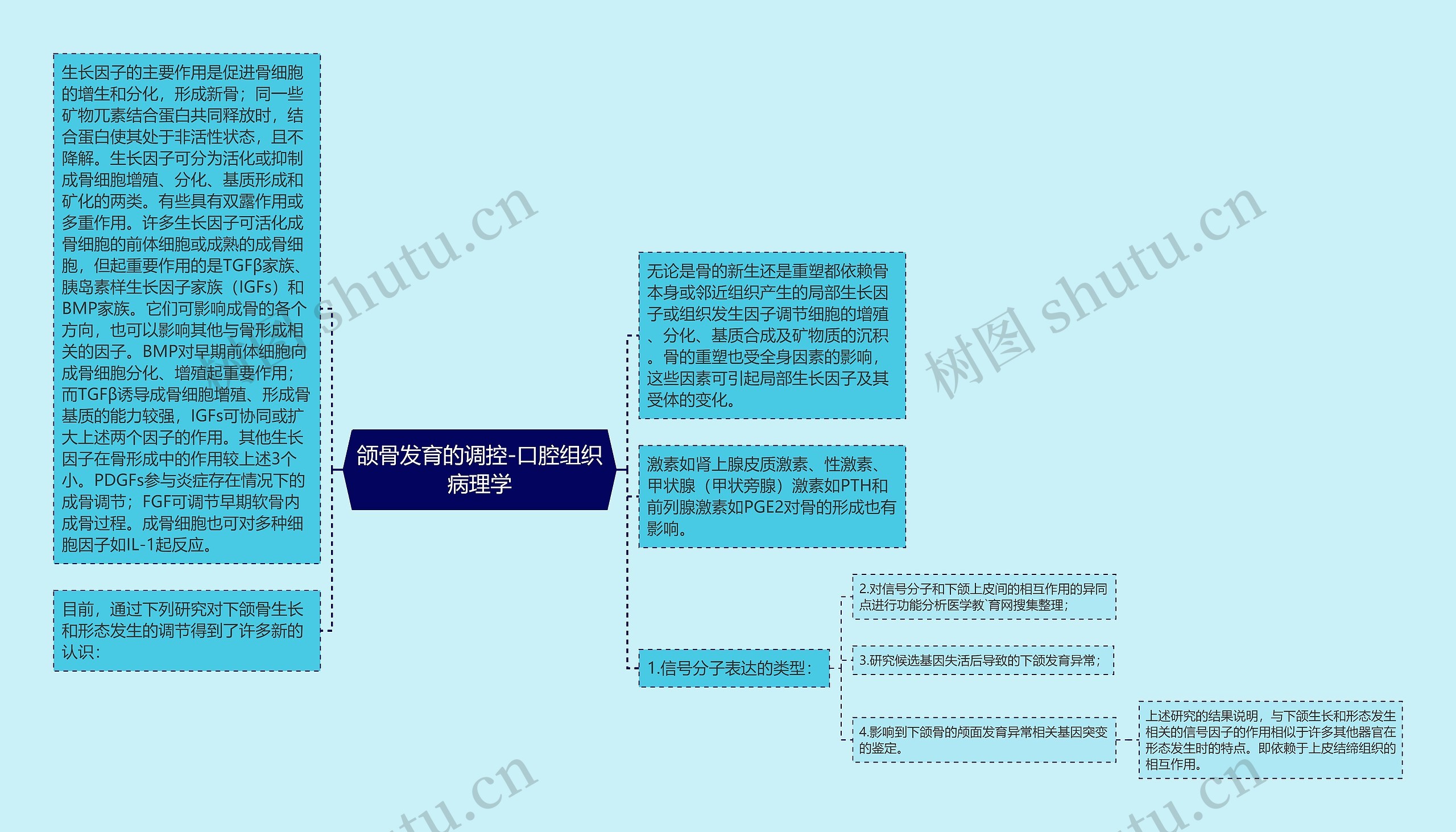 颌骨发育的调控-口腔组织病理学思维导图