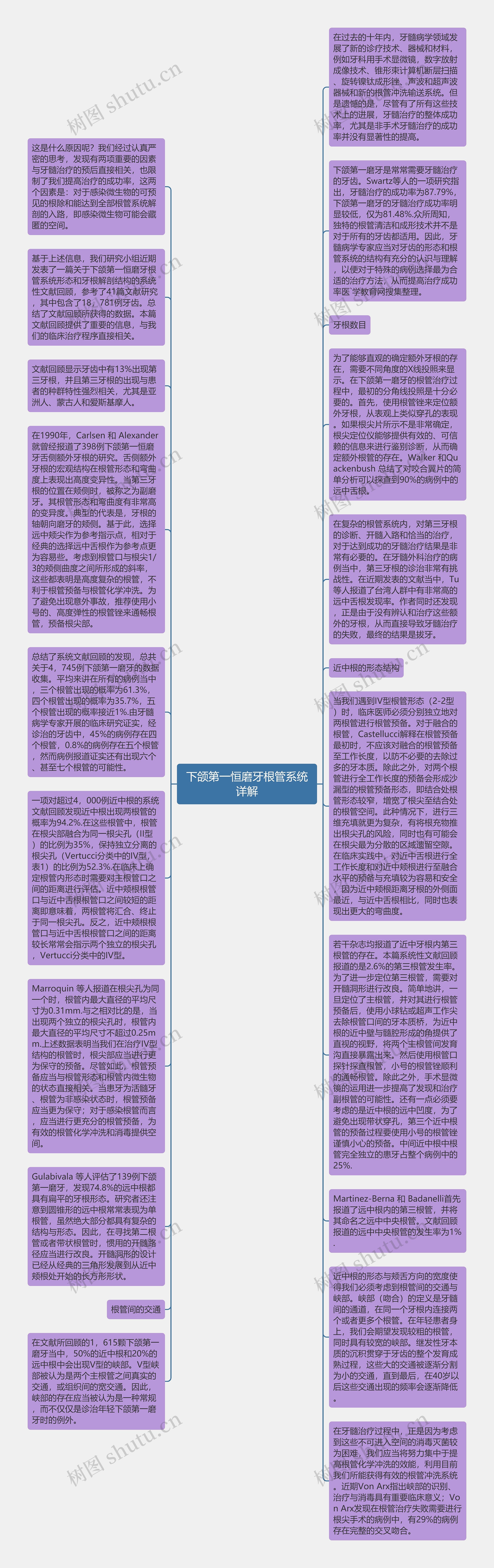 下颌第一恒磨牙根管系统详解思维导图