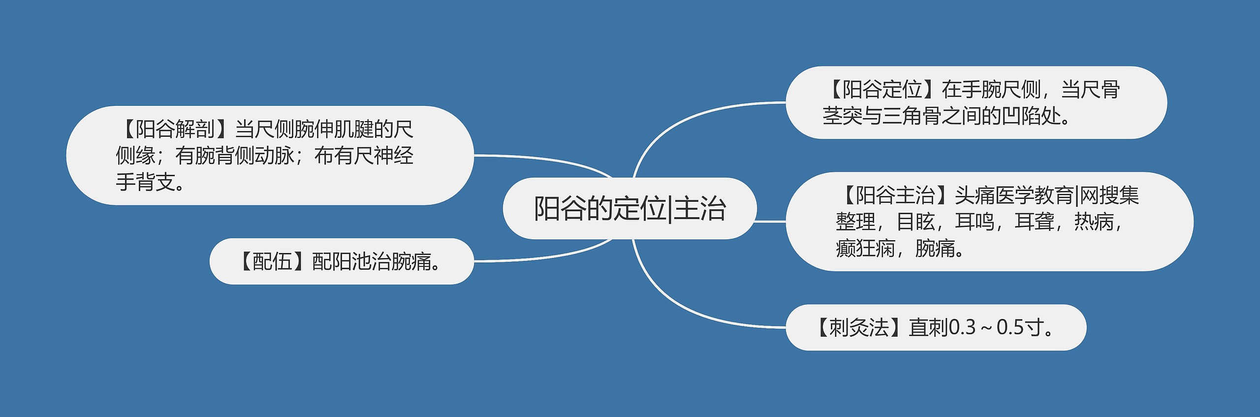 阳谷的定位|主治