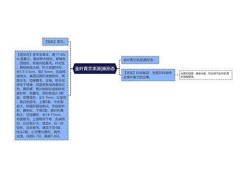 全叶青兰来源|原形态