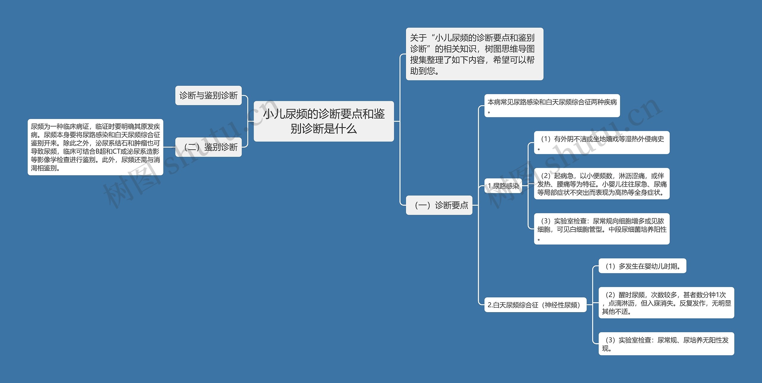 小儿尿频的诊断要点和鉴别诊断是什么思维导图