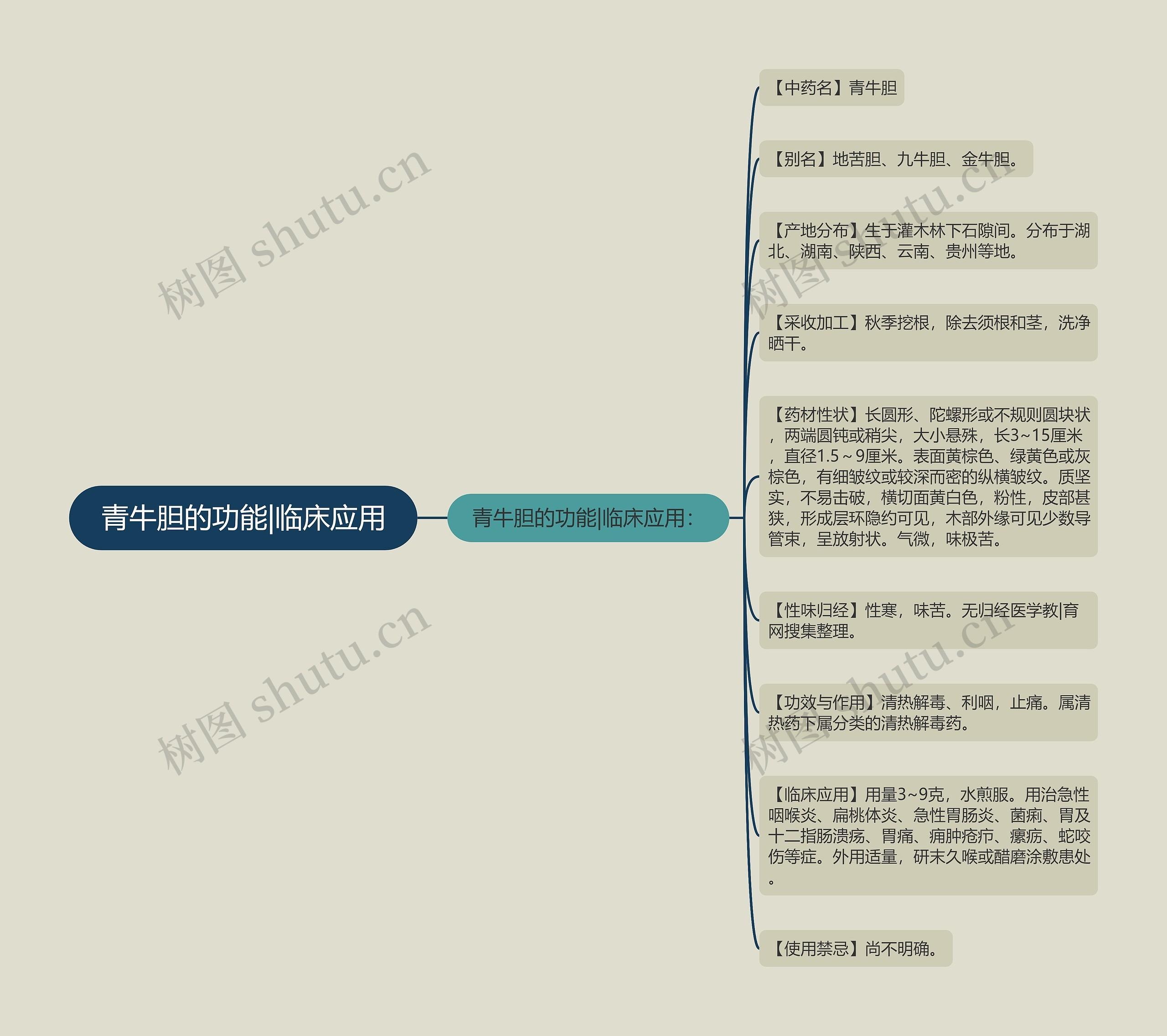 青牛胆的功能|临床应用思维导图