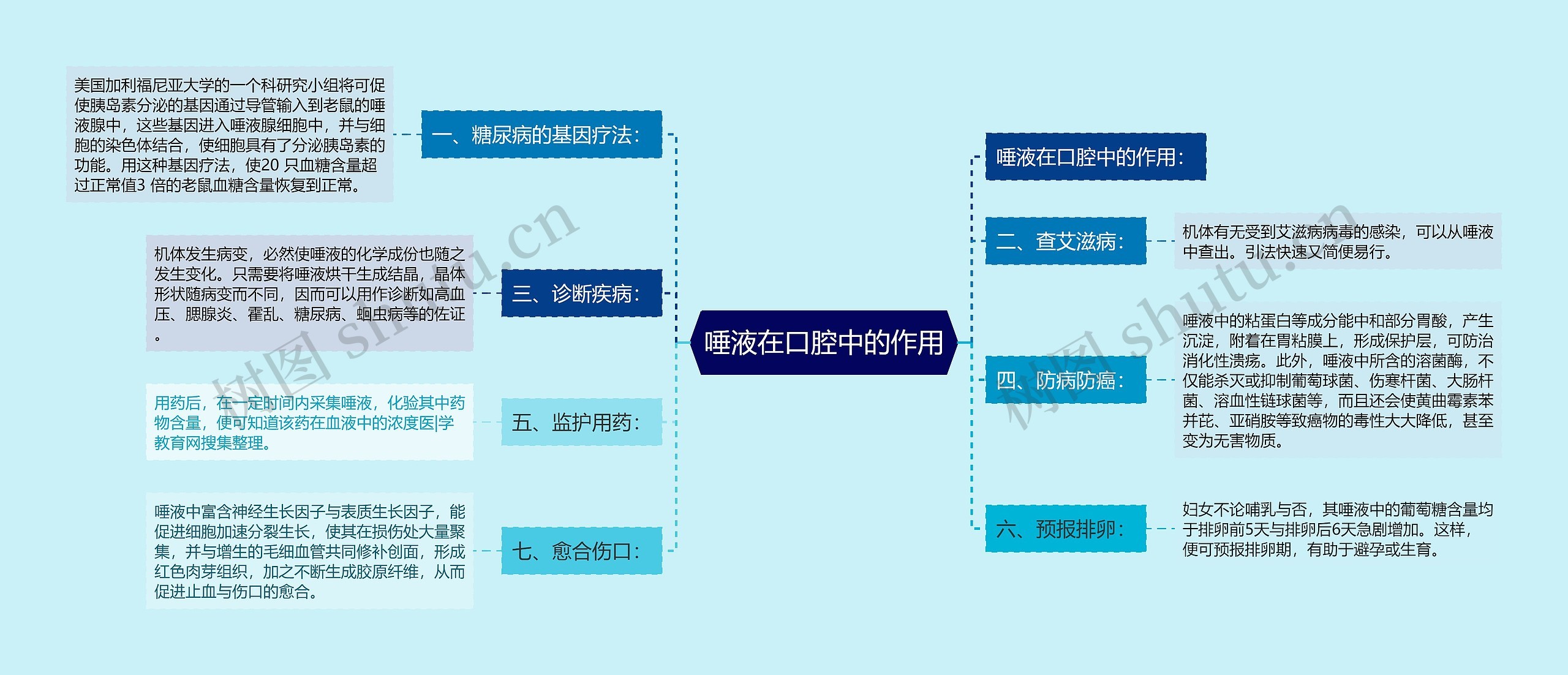 唾液在口腔中的作用思维导图