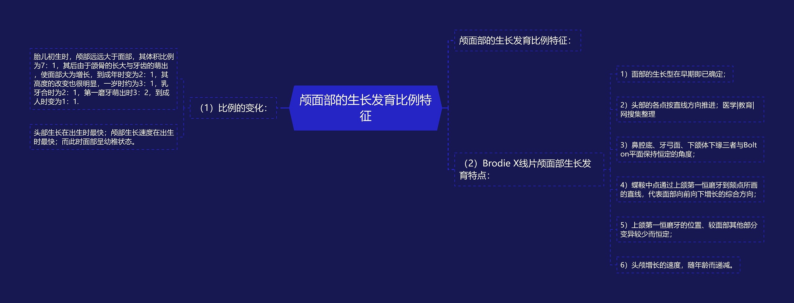 颅面部的生长发育比例特征