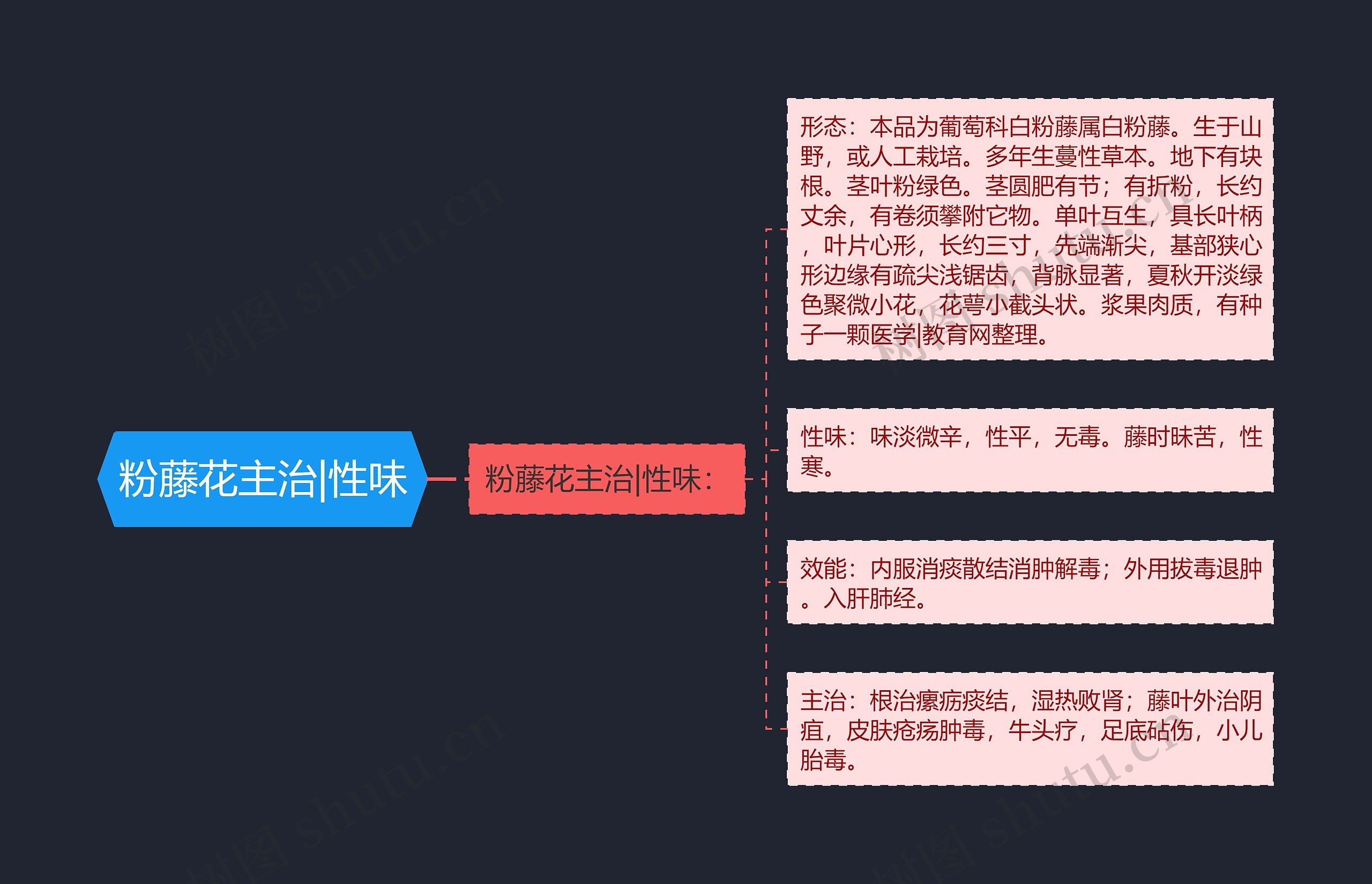 粉藤花主治|性味 粉藤花主治|性味