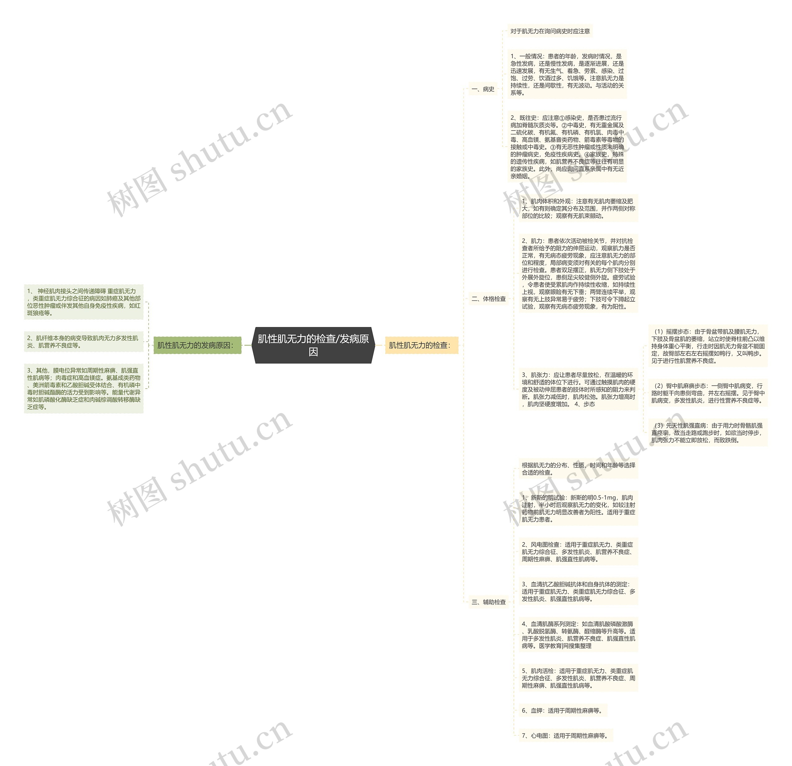 肌性肌无力的检查/发病原因思维导图