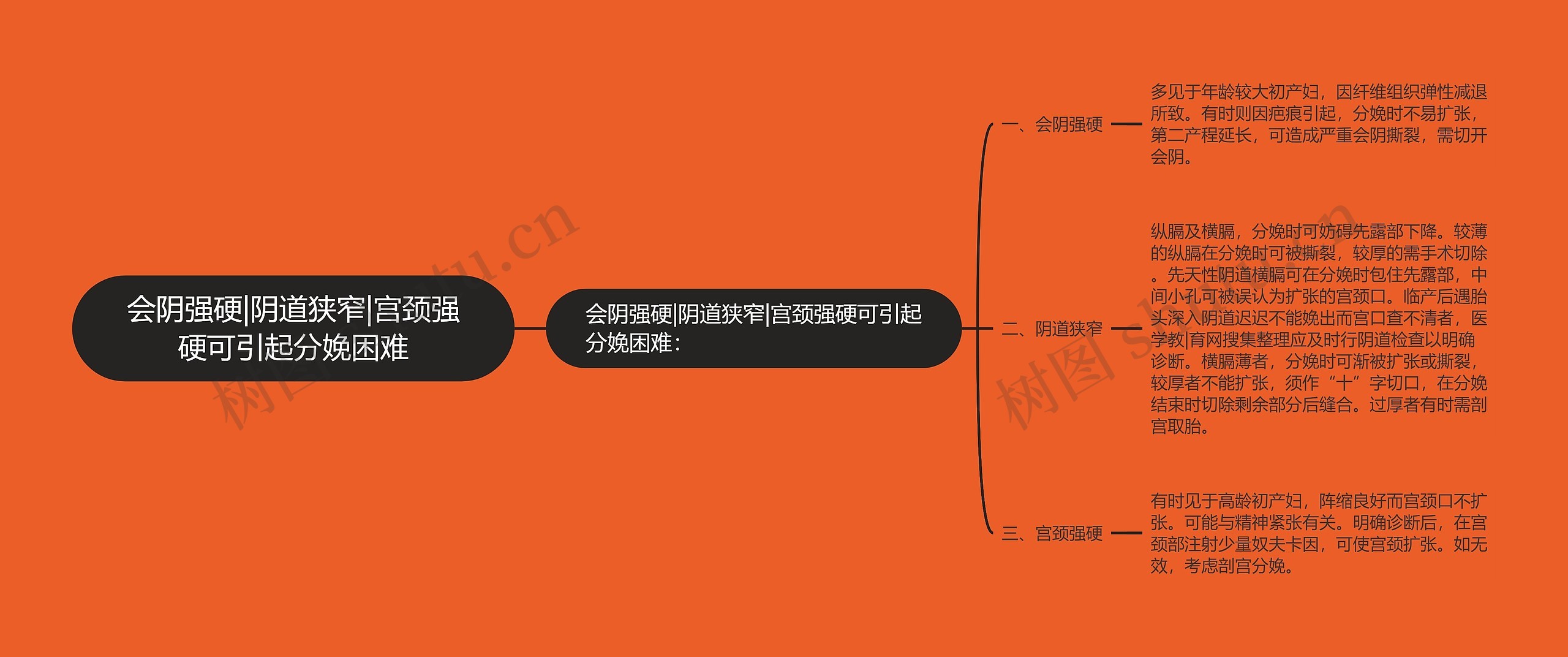 会阴强硬|阴道狭窄|宫颈强硬可引起分娩困难思维导图