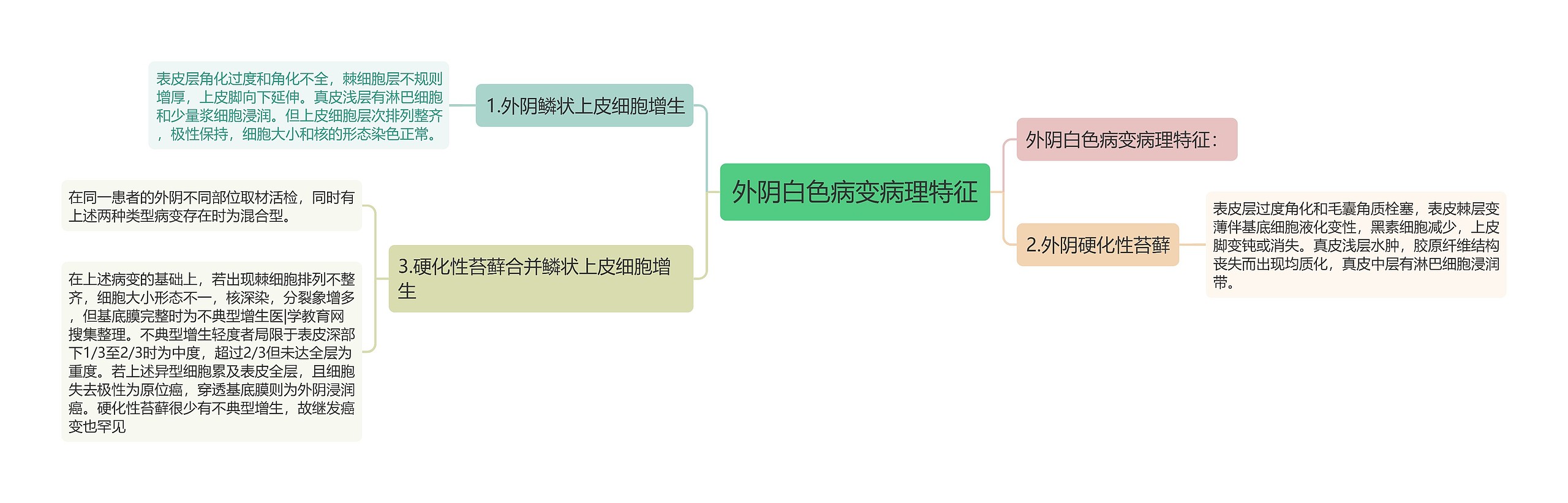 外阴白色病变病理特征