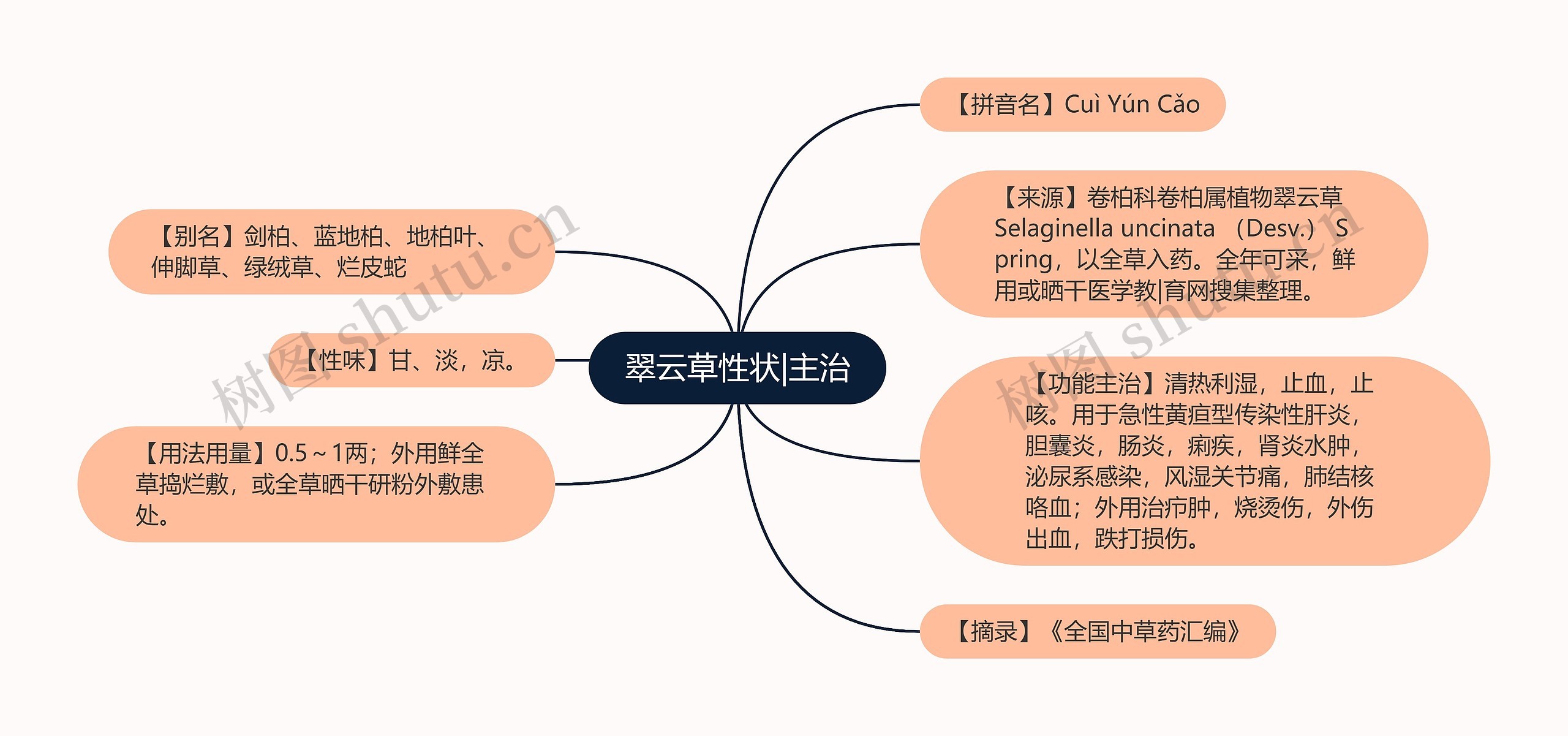 翠云草性状|主治思维导图