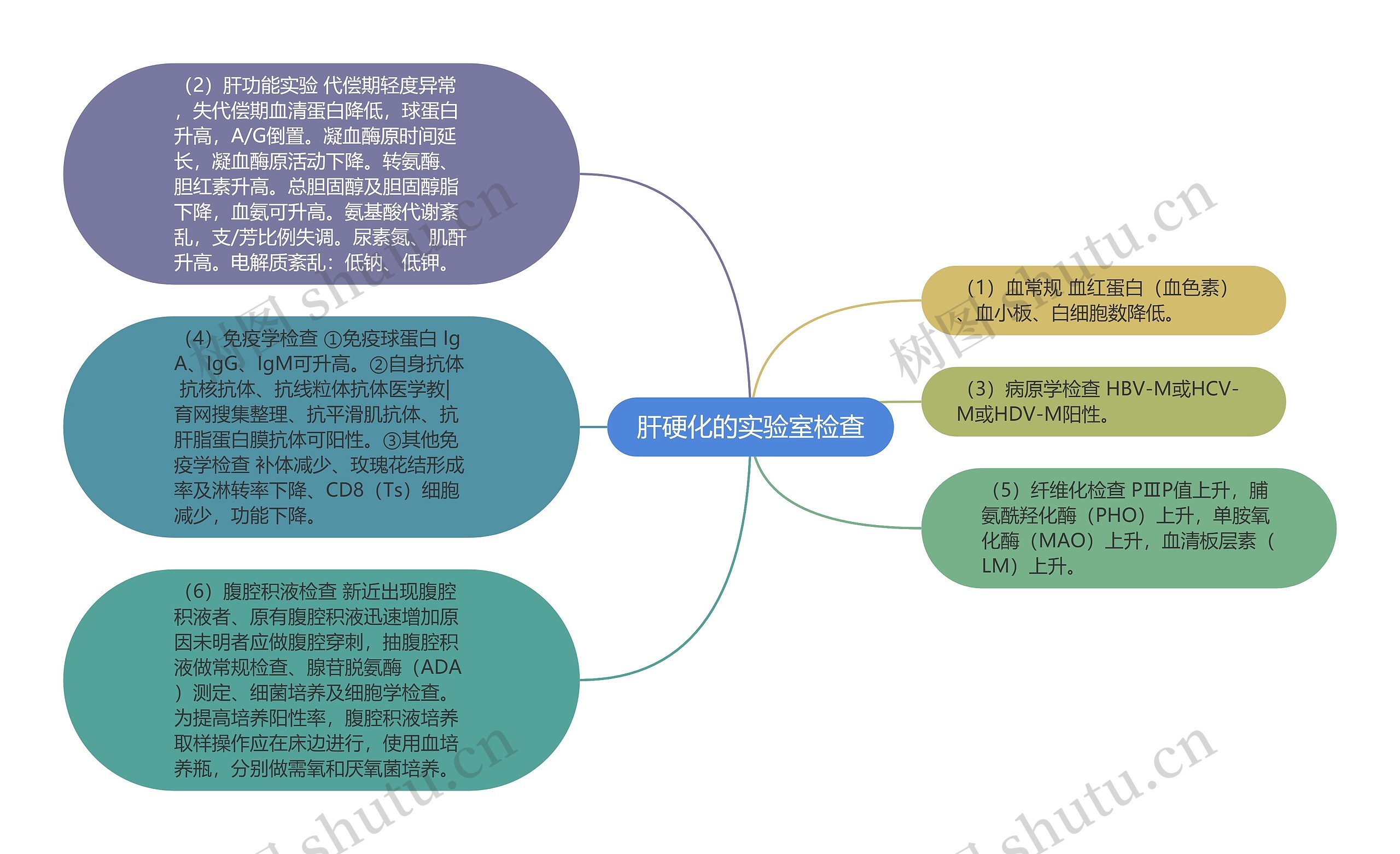 肝硬化的实验室检查思维导图