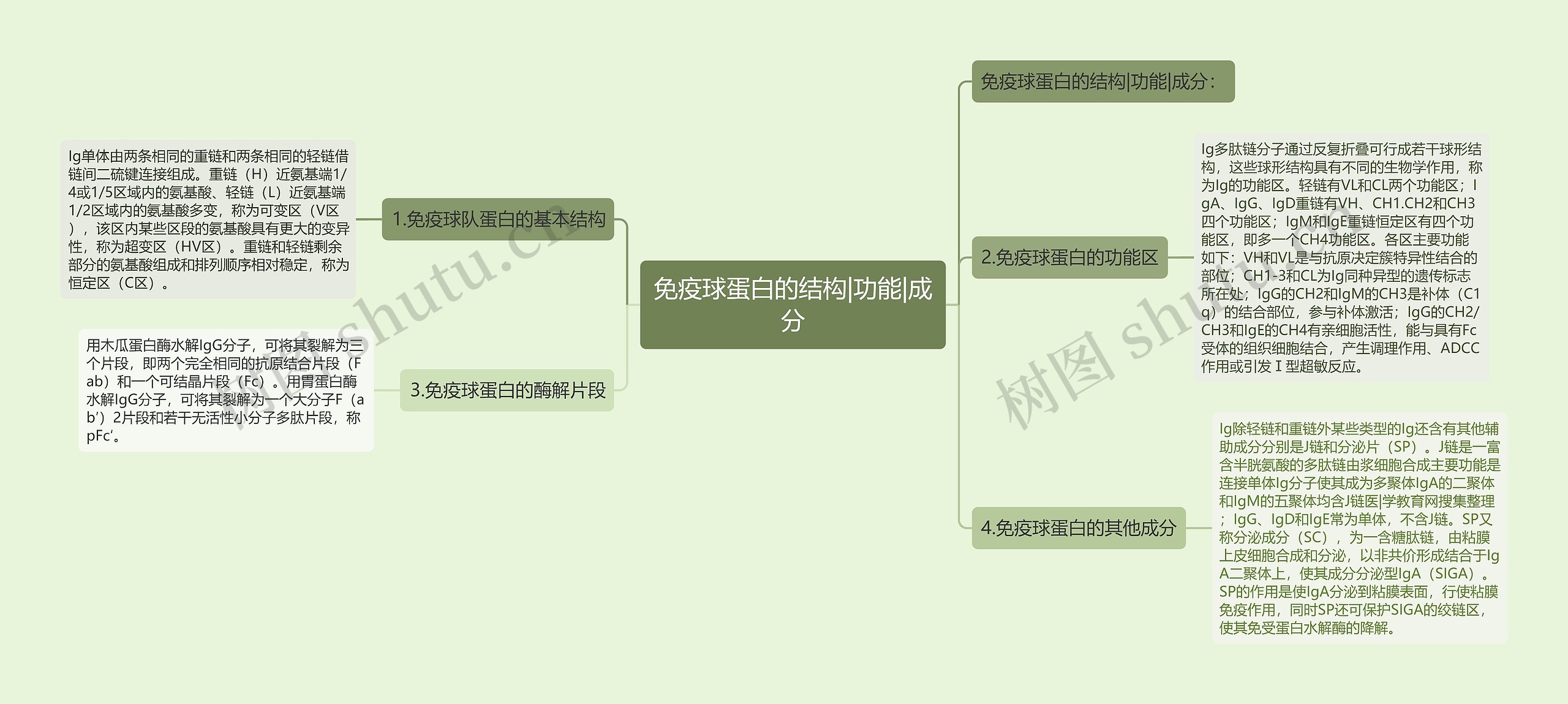 免疫球蛋白的结构|功能|成分思维导图