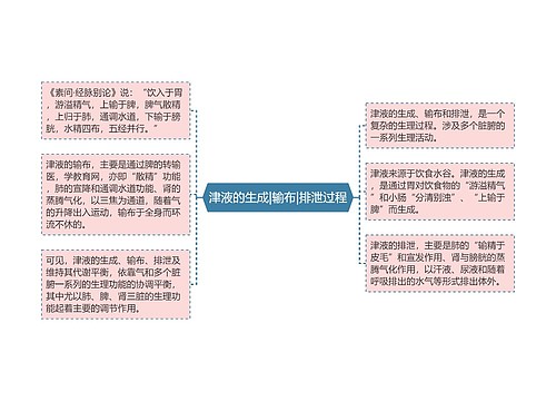 津液的生成|输布|排泄过程