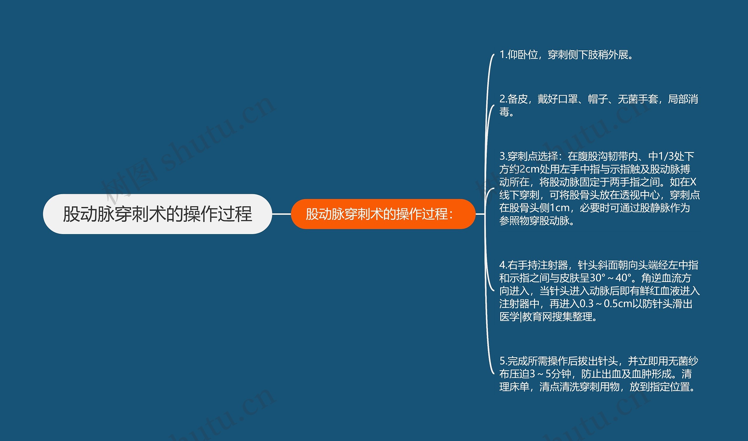 股动脉穿刺术的操作过程