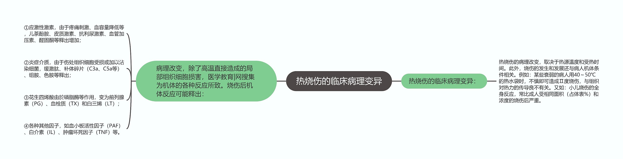 热烧伤的临床病理变异