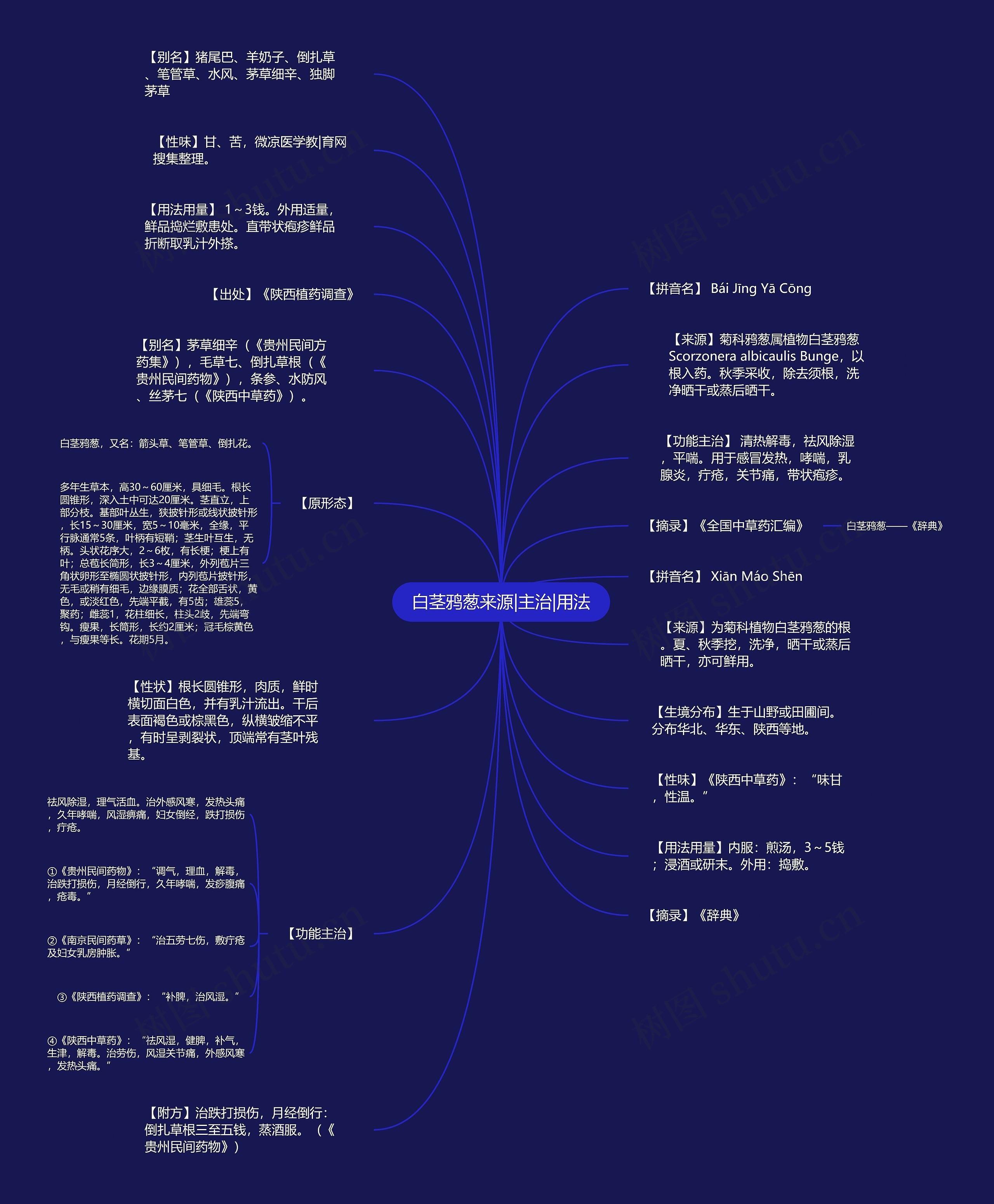 白茎鸦葱来源|主治|用法思维导图