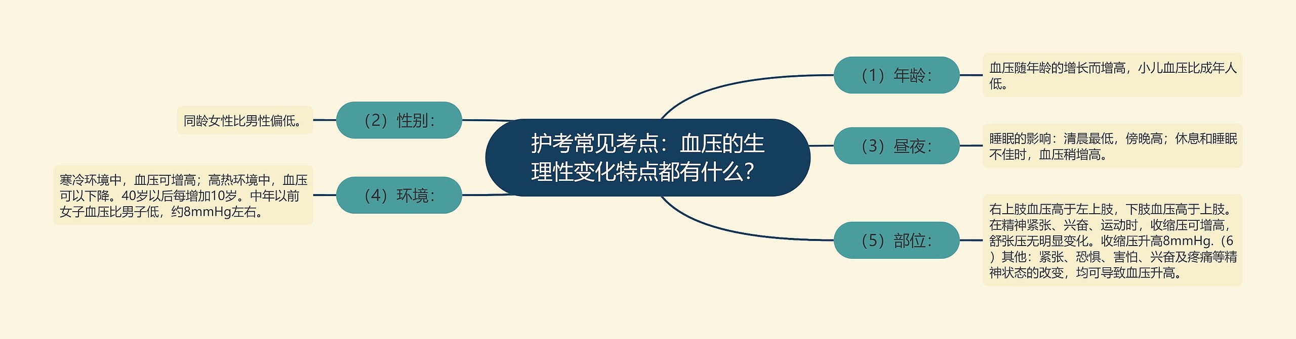 护考常见考点：血压的生理性变化特点都有什么？