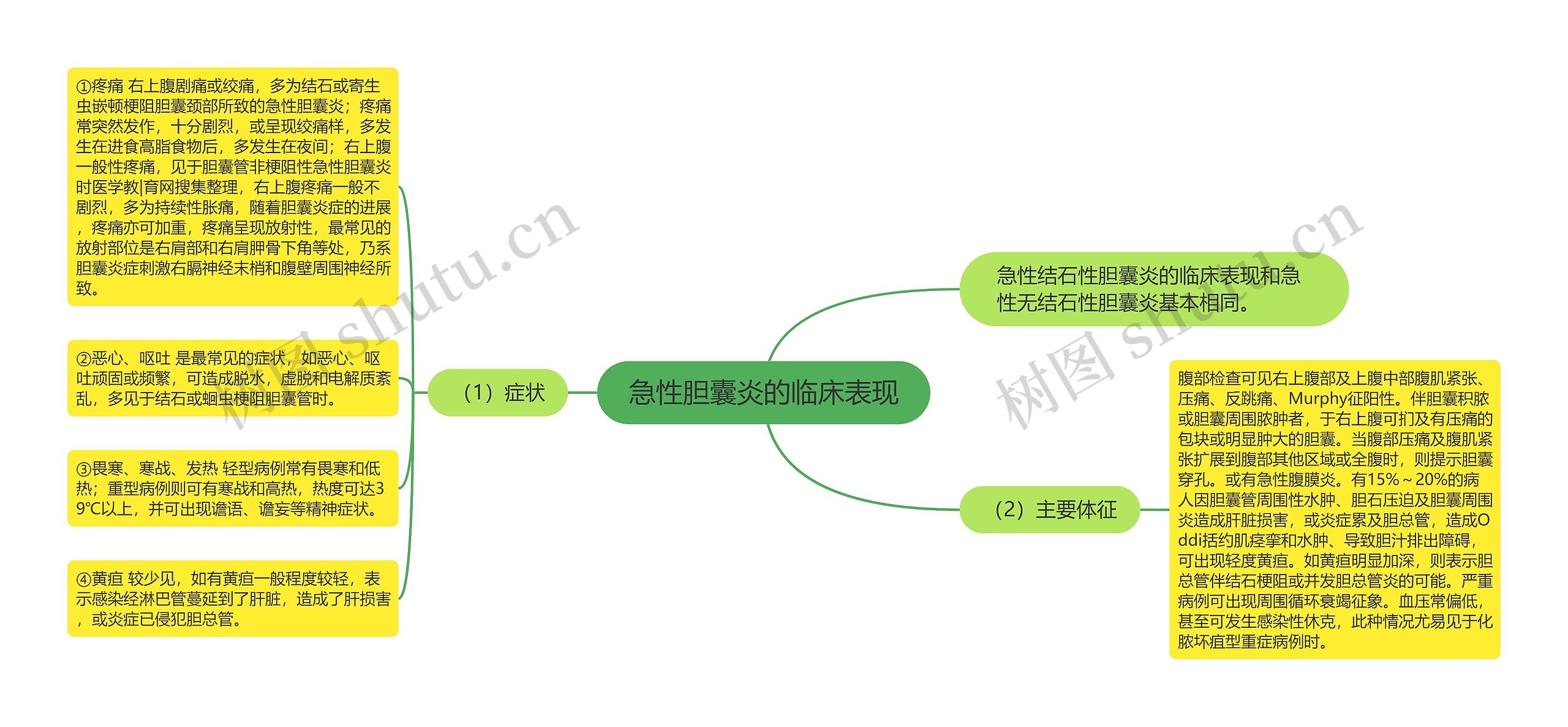 急性胆囊炎的临床表现思维导图