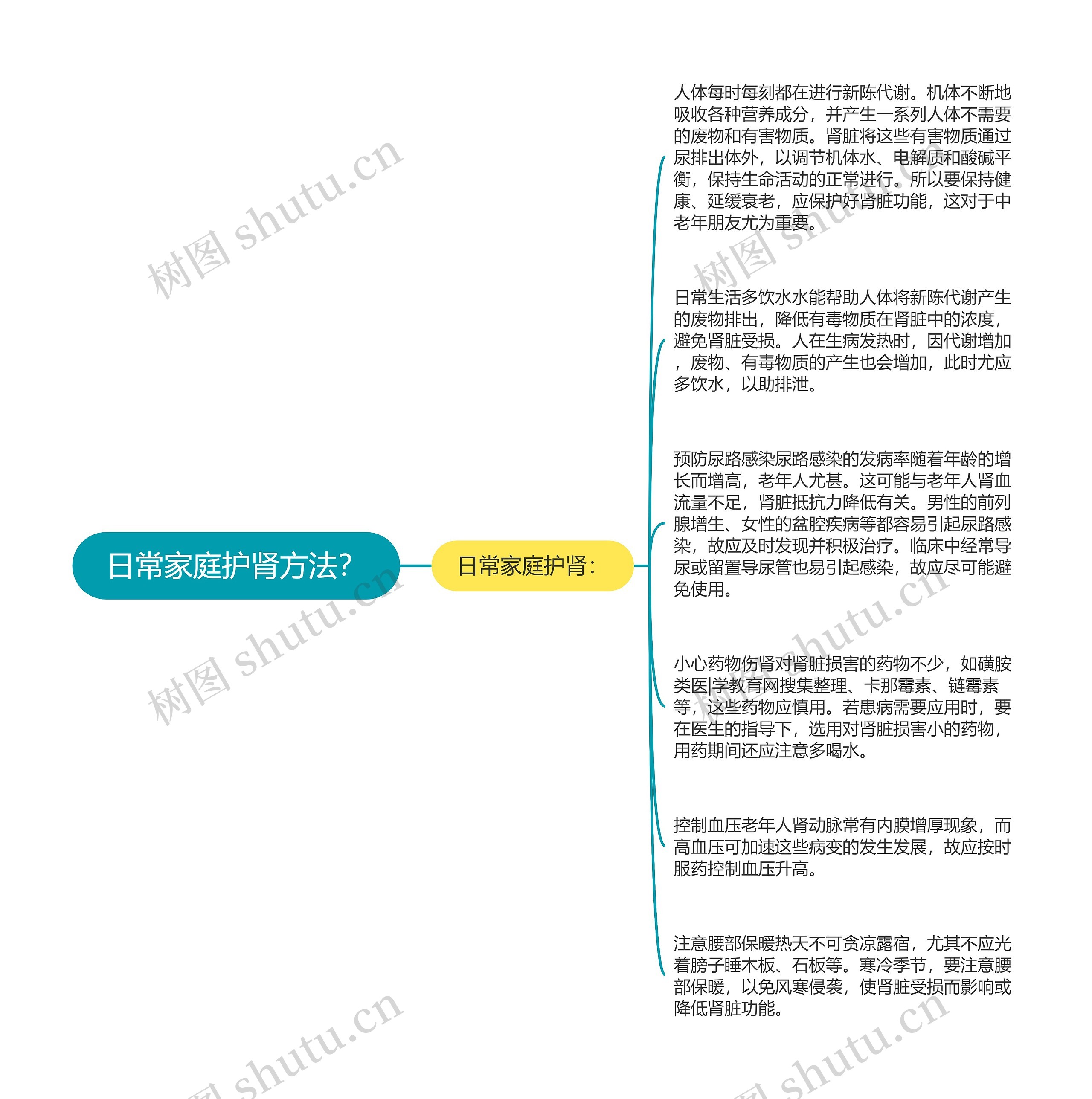 日常家庭护肾方法？