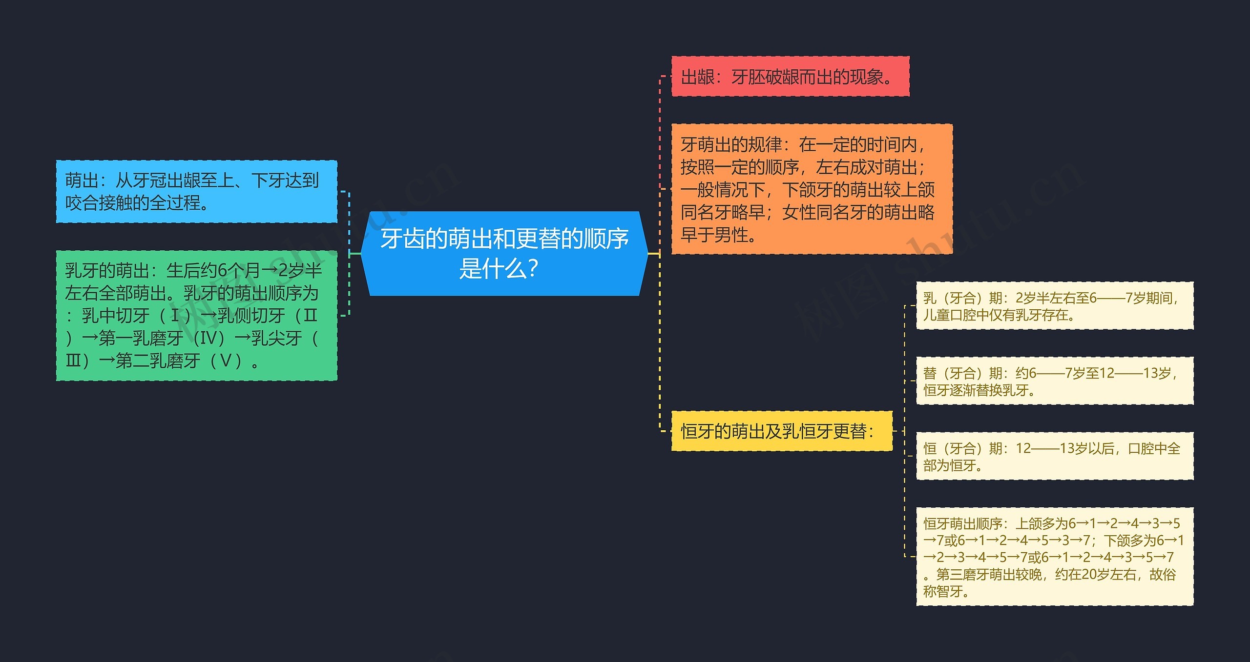 牙齿的萌出和更替的顺序是什么？