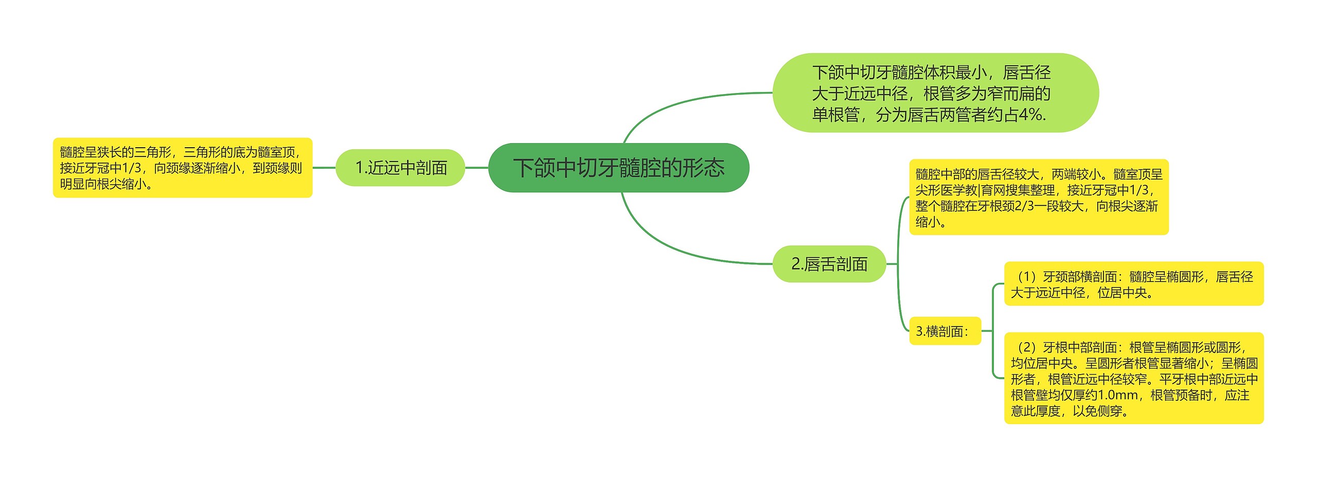 下颌中切牙髓腔的形态思维导图