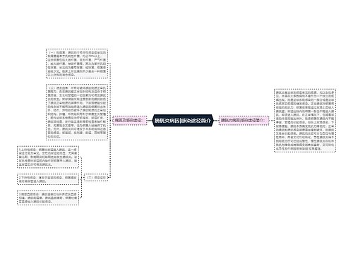 膀胱炎病因|感染途径简介