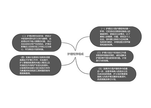 护理程序组成