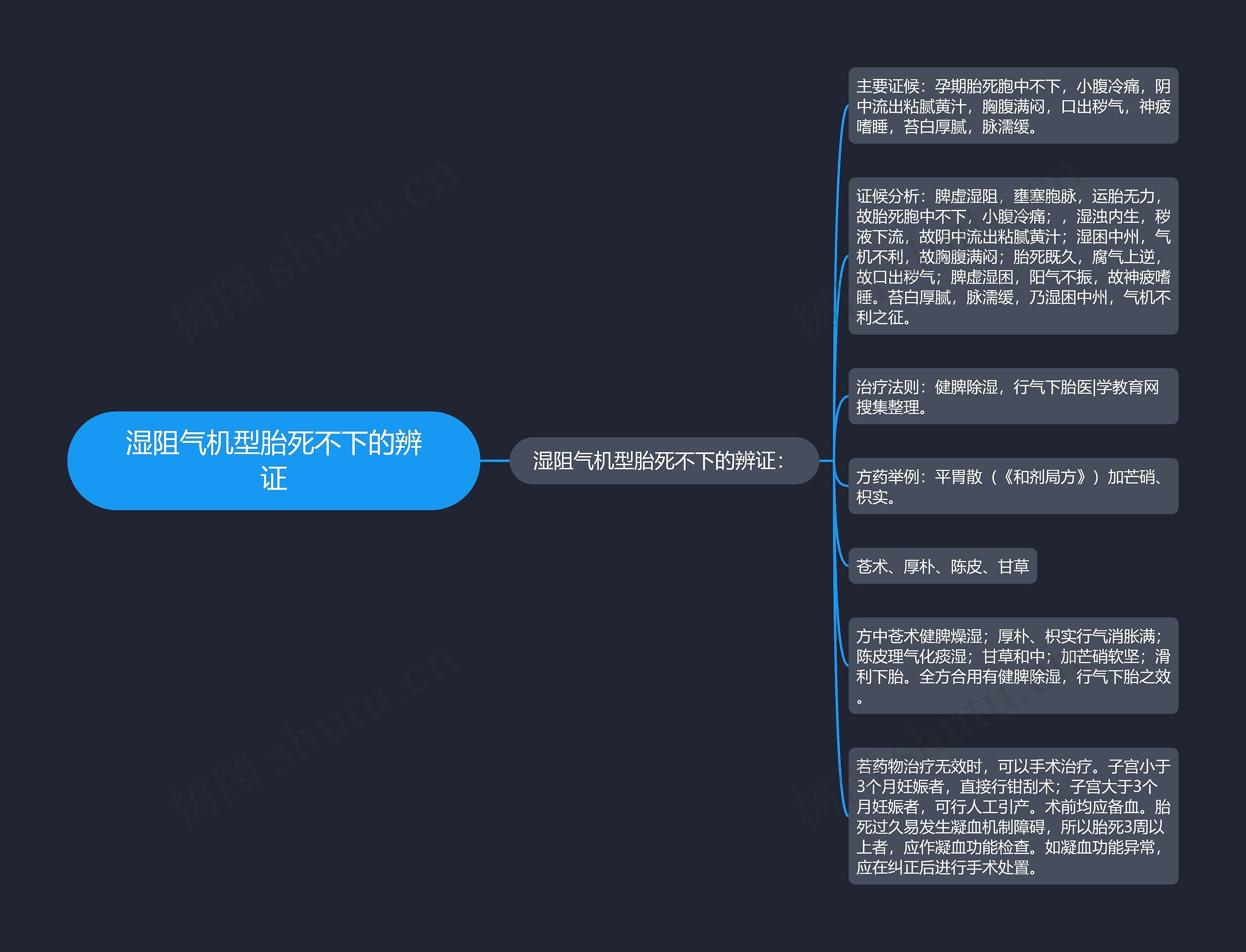 湿阻气机型胎死不下的辨证思维导图