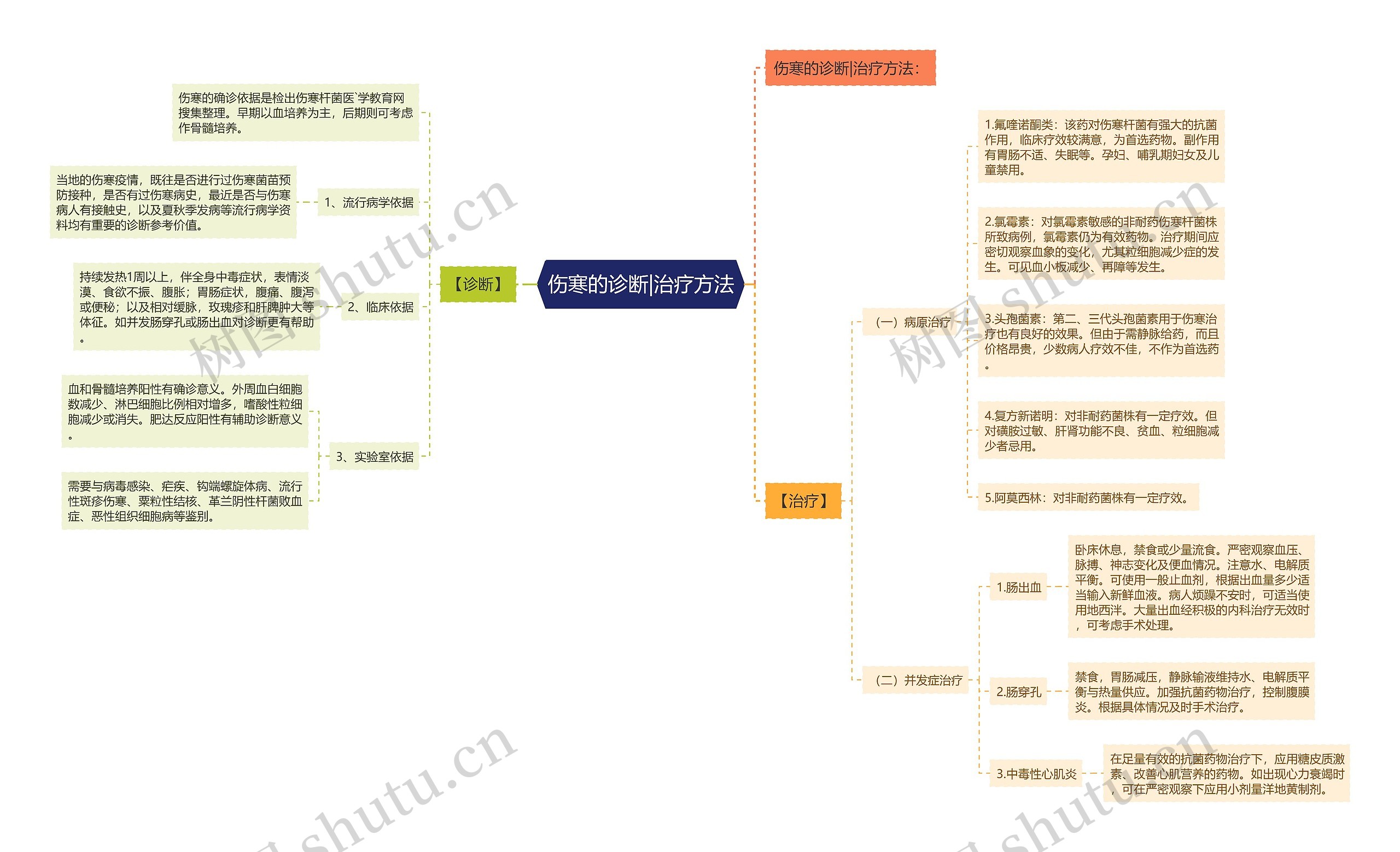 伤寒的诊断|治疗方法思维导图