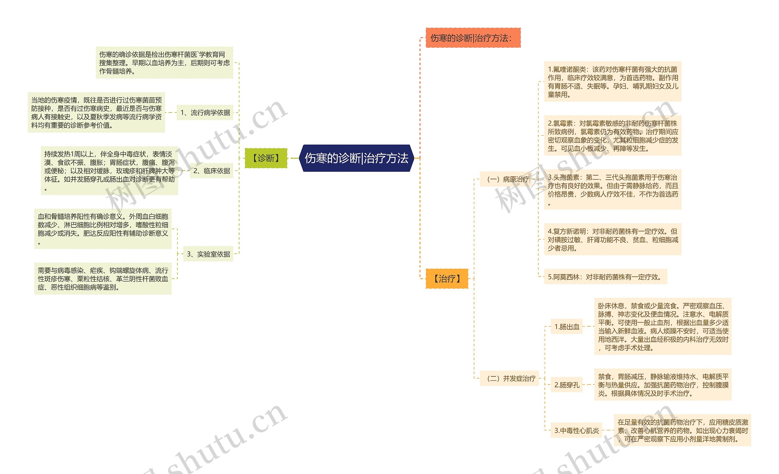 伤寒的诊断|治疗方法 伤寒的诊断|治疗方法