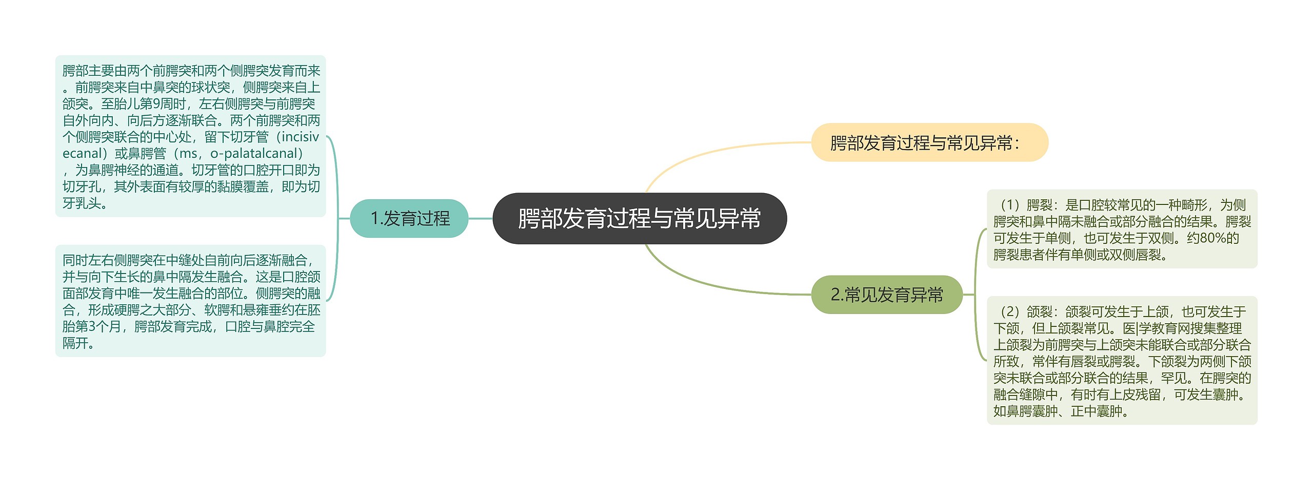 腭部发育过程与常见异常思维导图